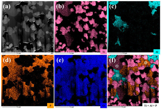 Materials 18 00851 g005