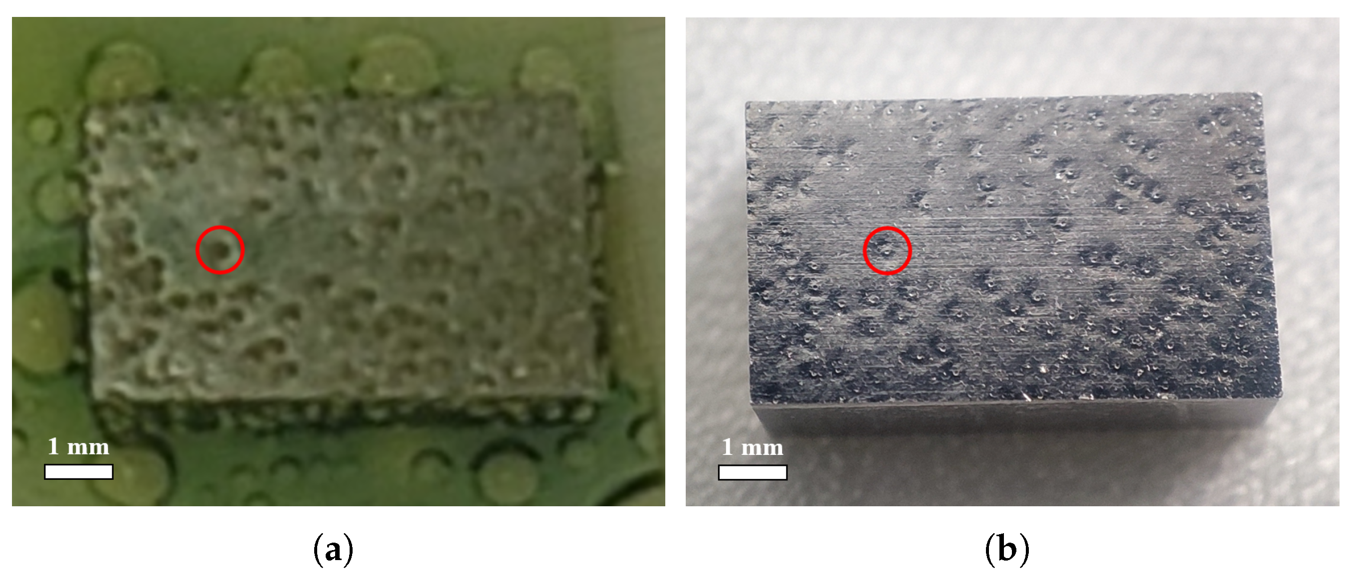 Materials 18 00865 g006 Materials 18 00865 g006