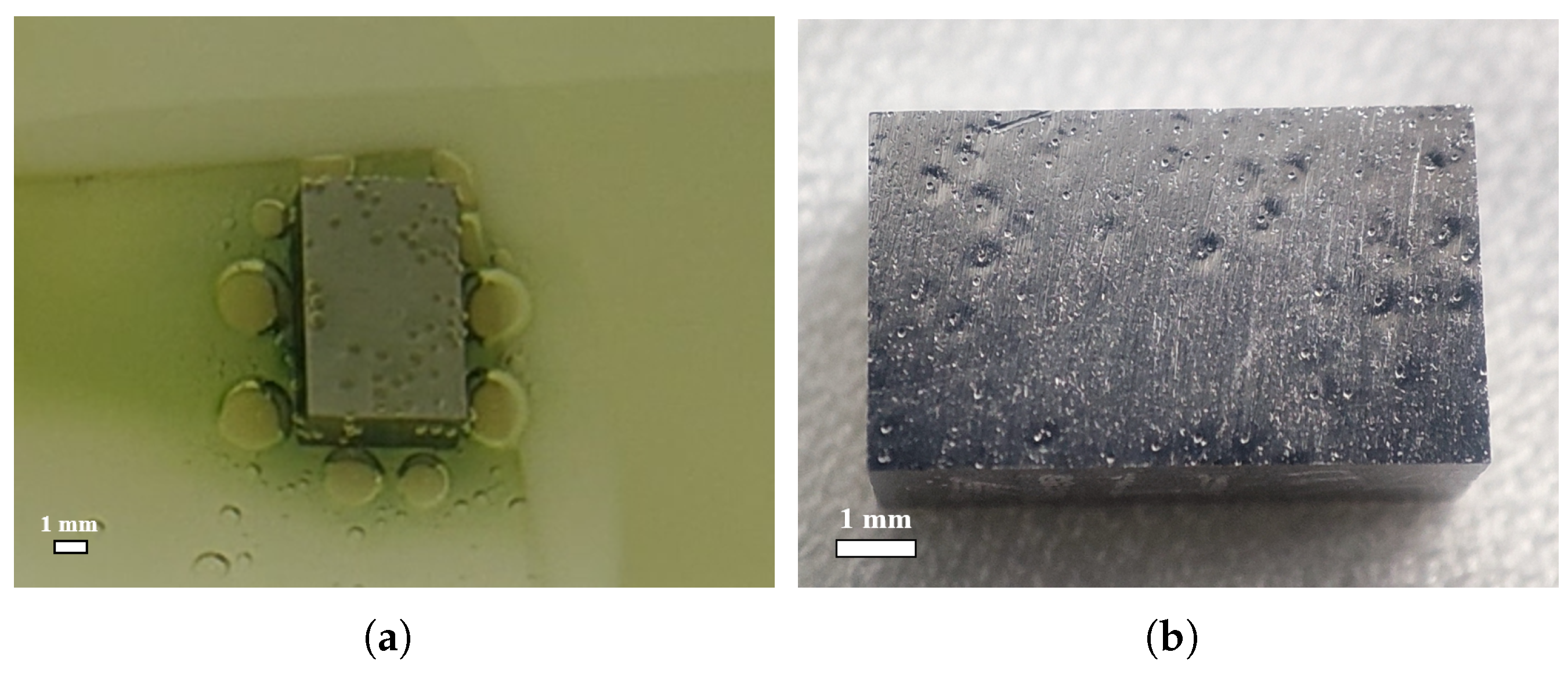 Materials 18 00865 g010 Materials 18 00865 g010