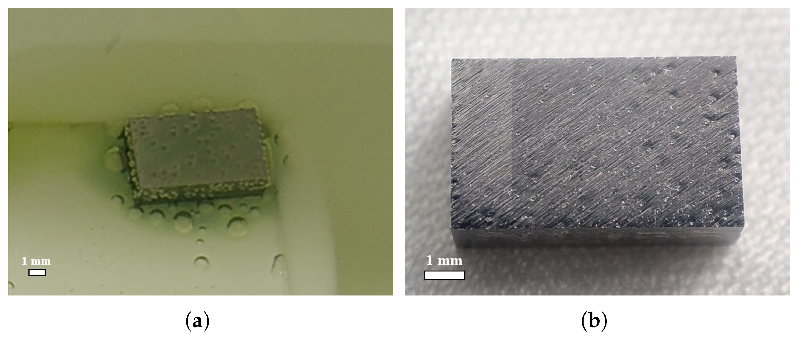 Materials 18 00865 g014 Materials 18 00865 g014