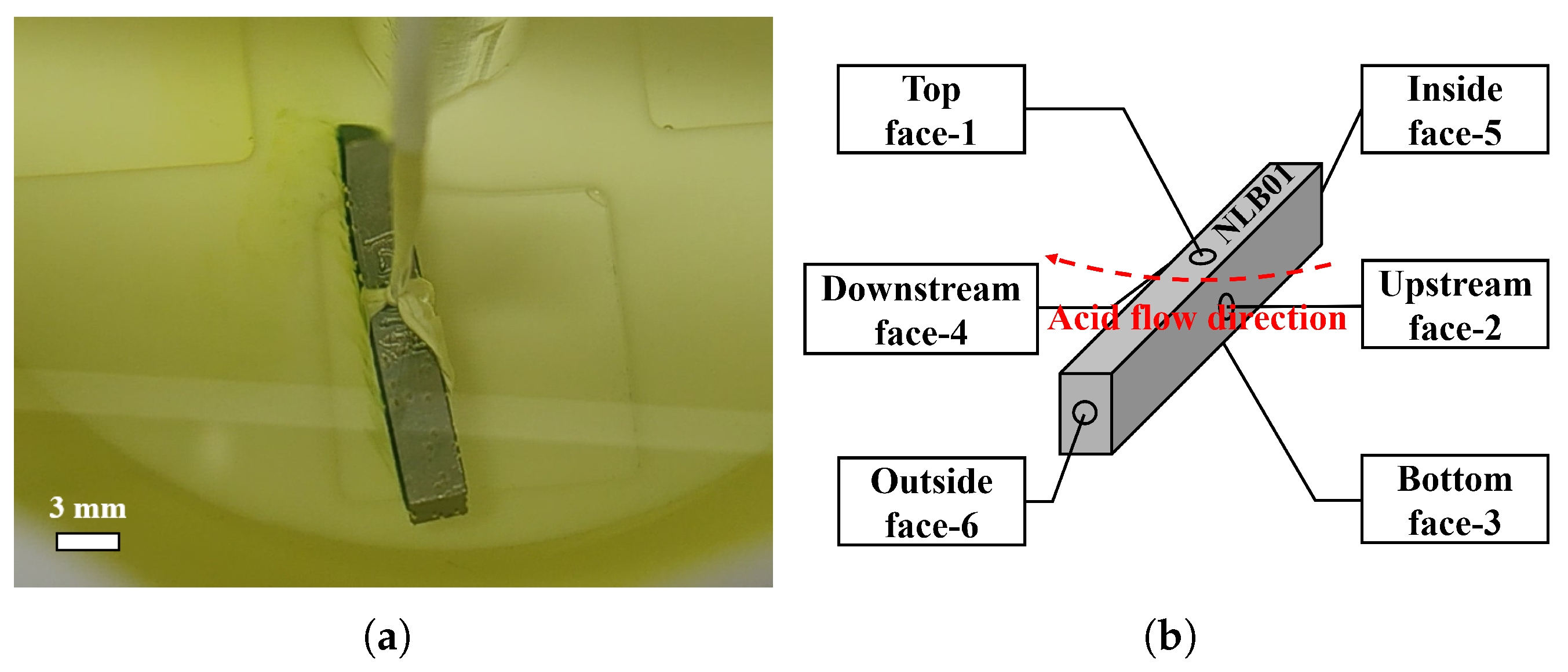 Materials 18 00865 g015 Materials 18 00865 g015
