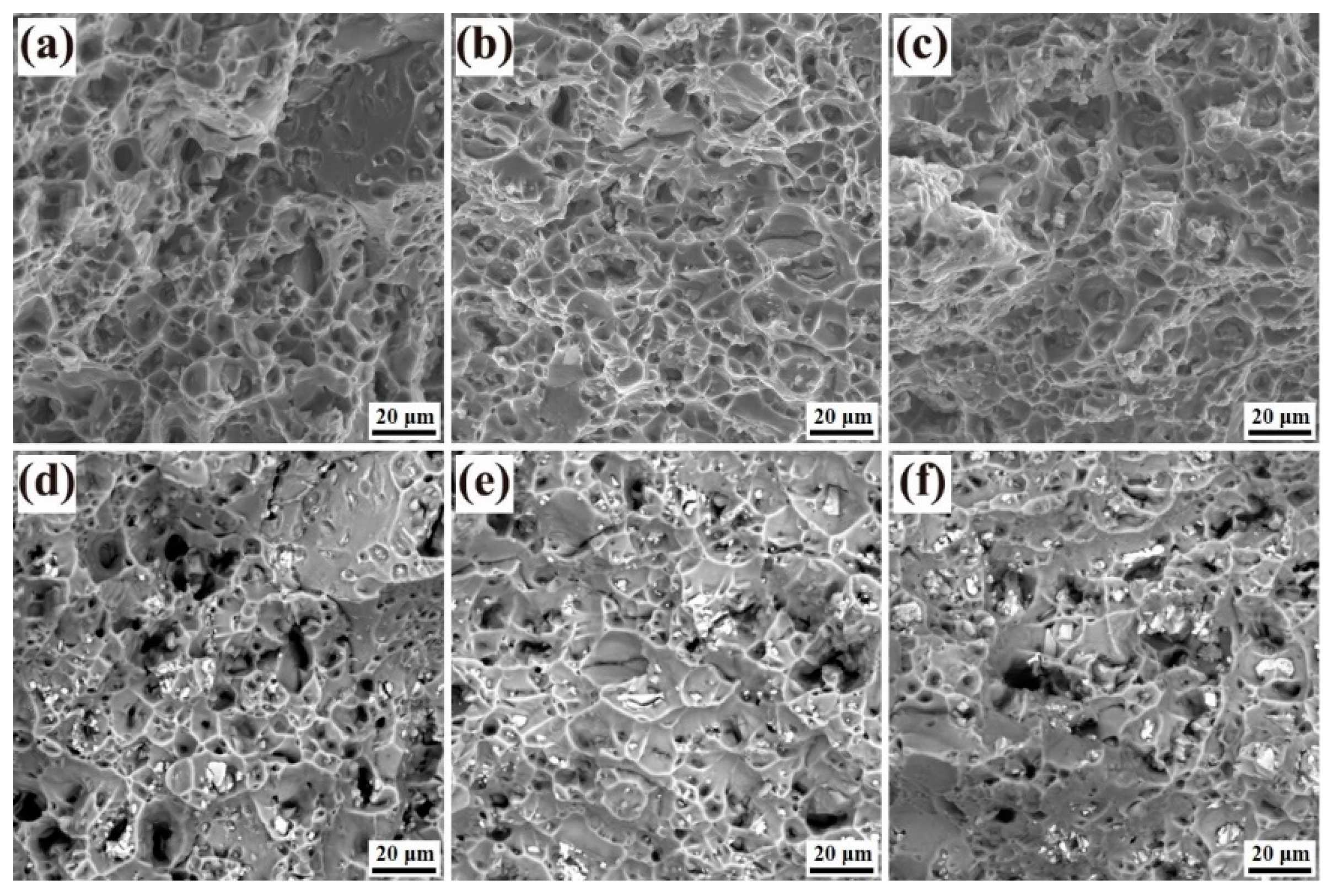 Materials 18 00875 g011