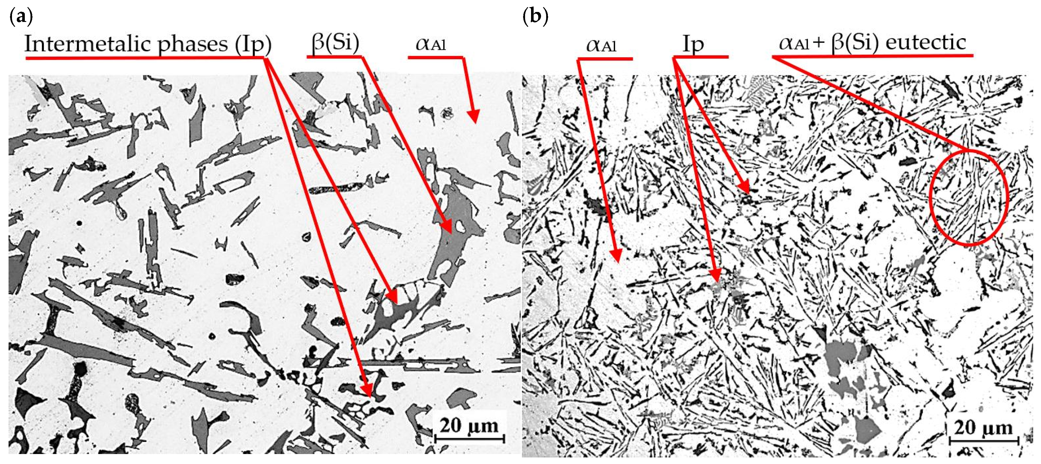 Materials 18 00882 g019 Materials 18 00882 g019