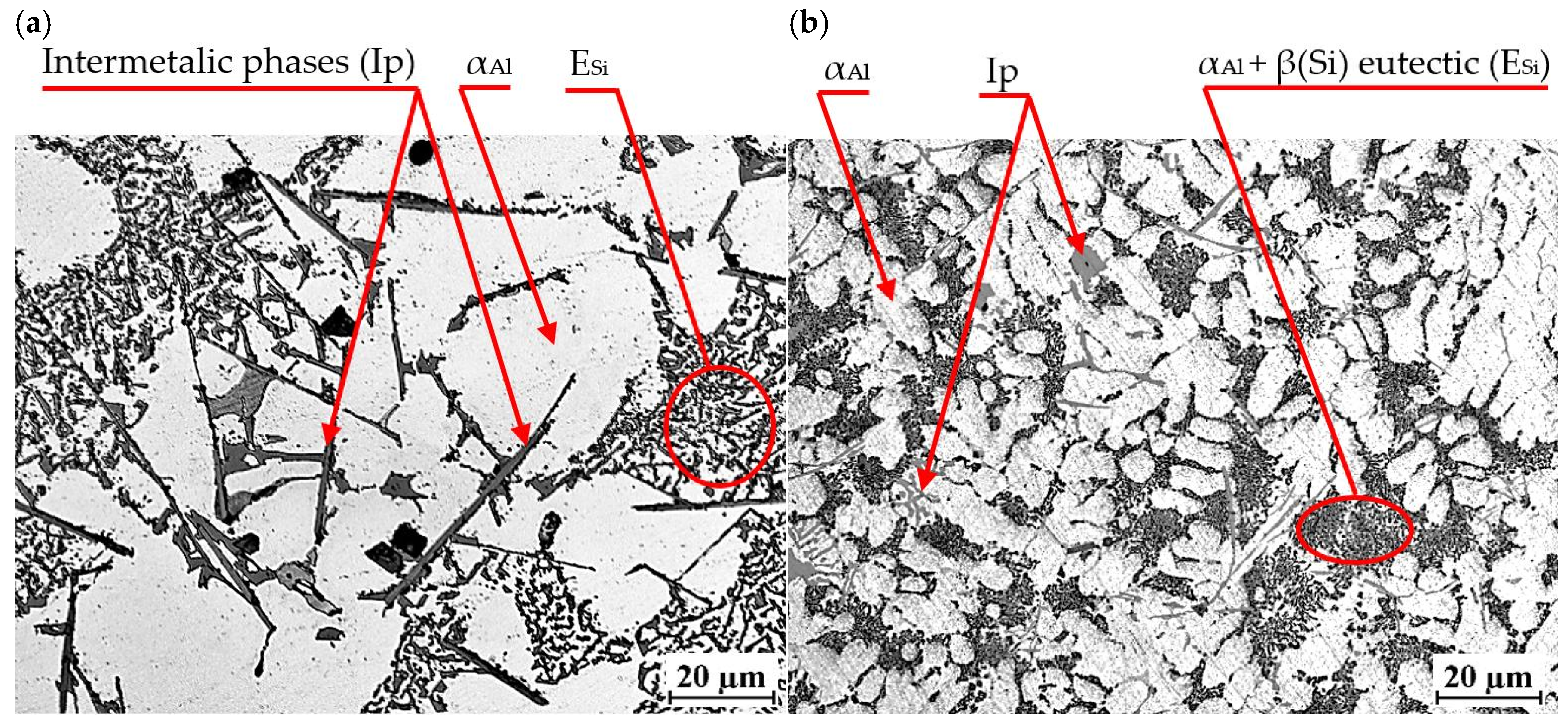 Materials 18 00882 g020 Materials 18 00882 g020