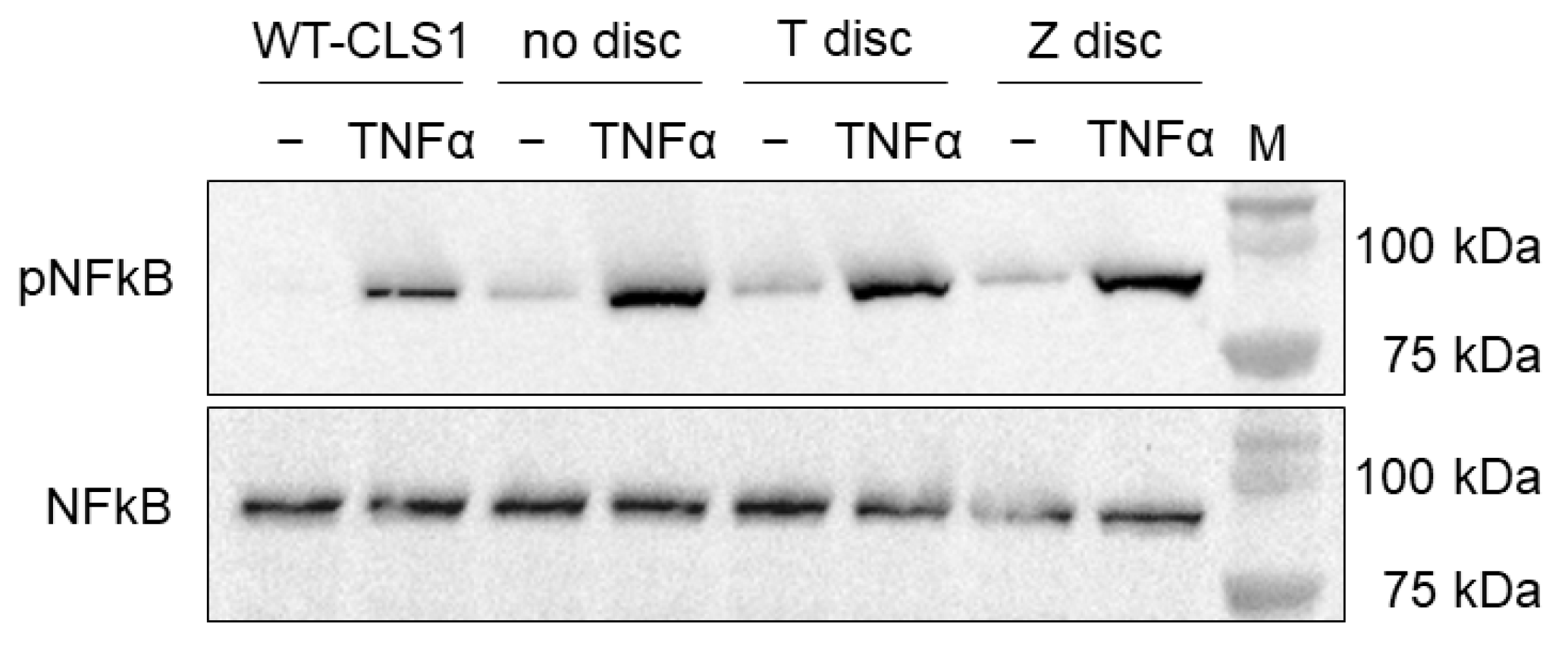 Materials 18 00884 g001
