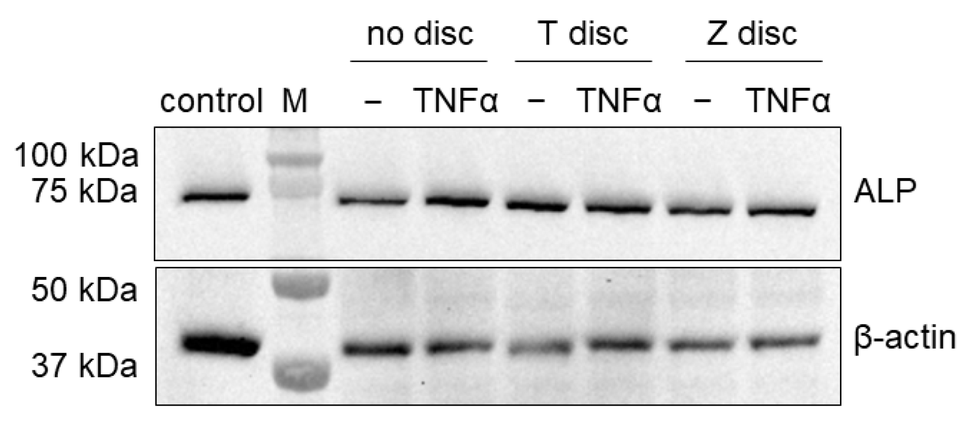 Materials 18 00884 g005