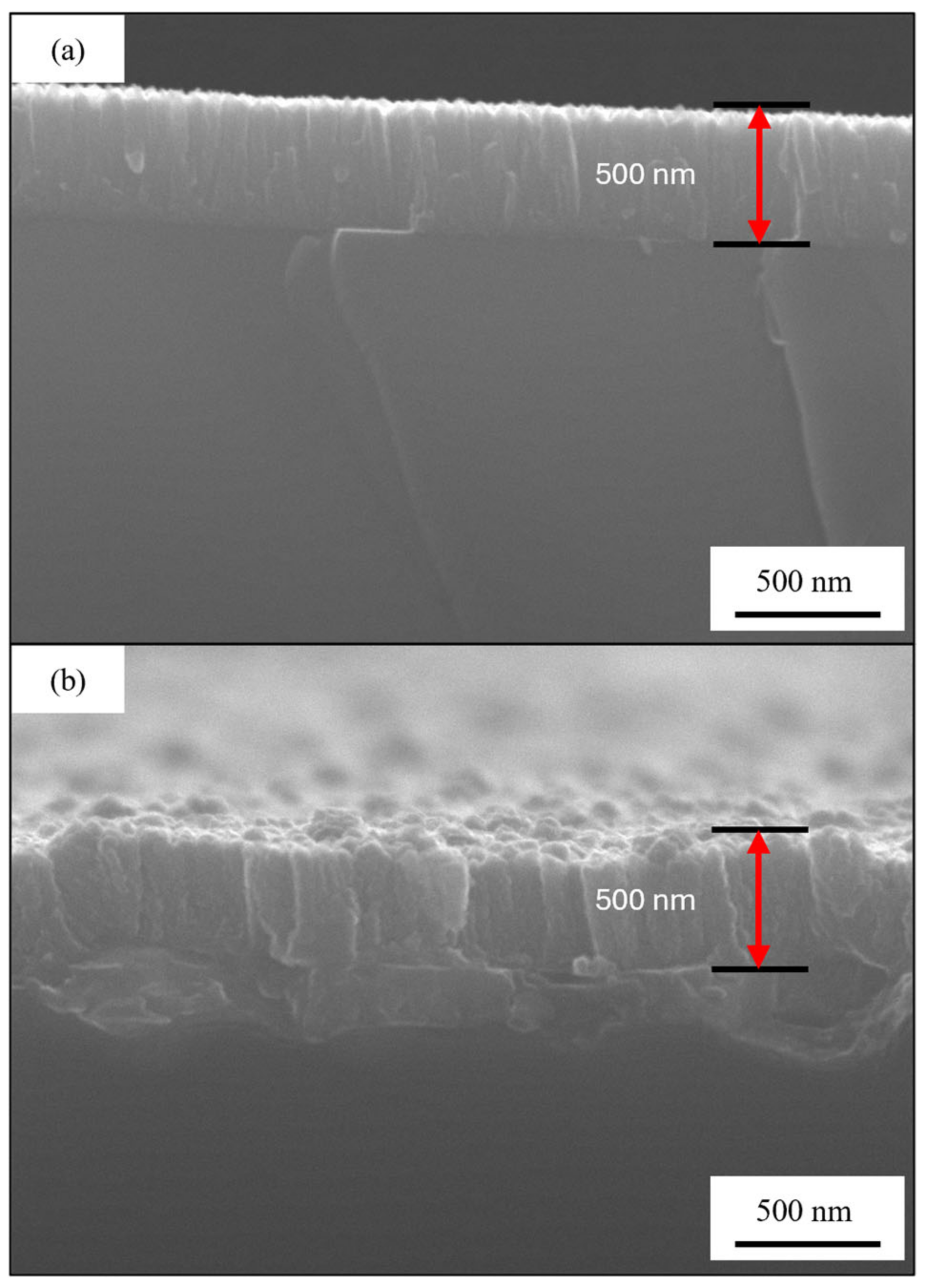 Materials 18 00894 g010