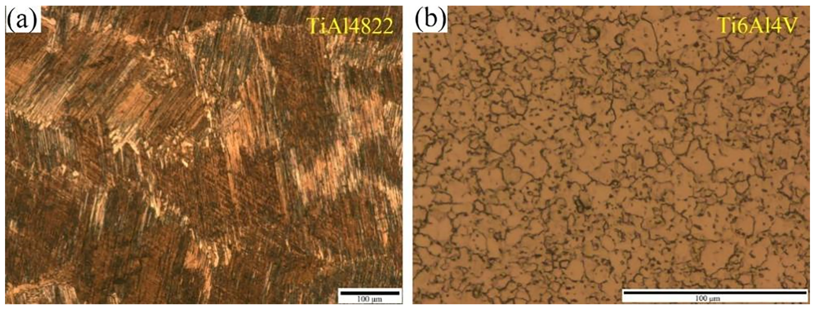 Materials 18 00898 g001