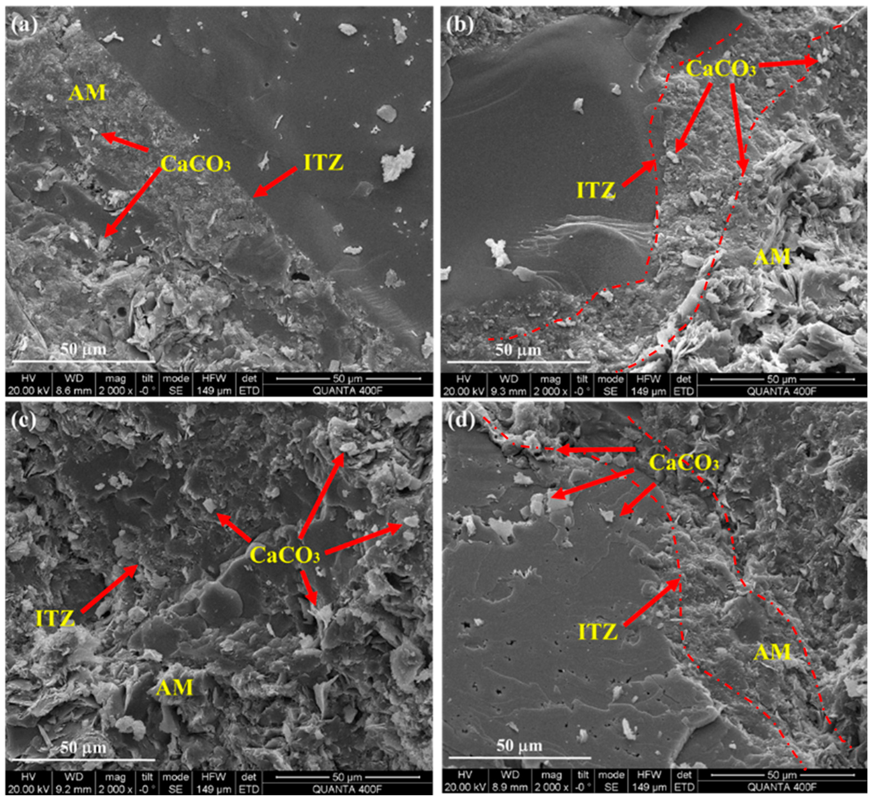 Materials 18 00901 g007