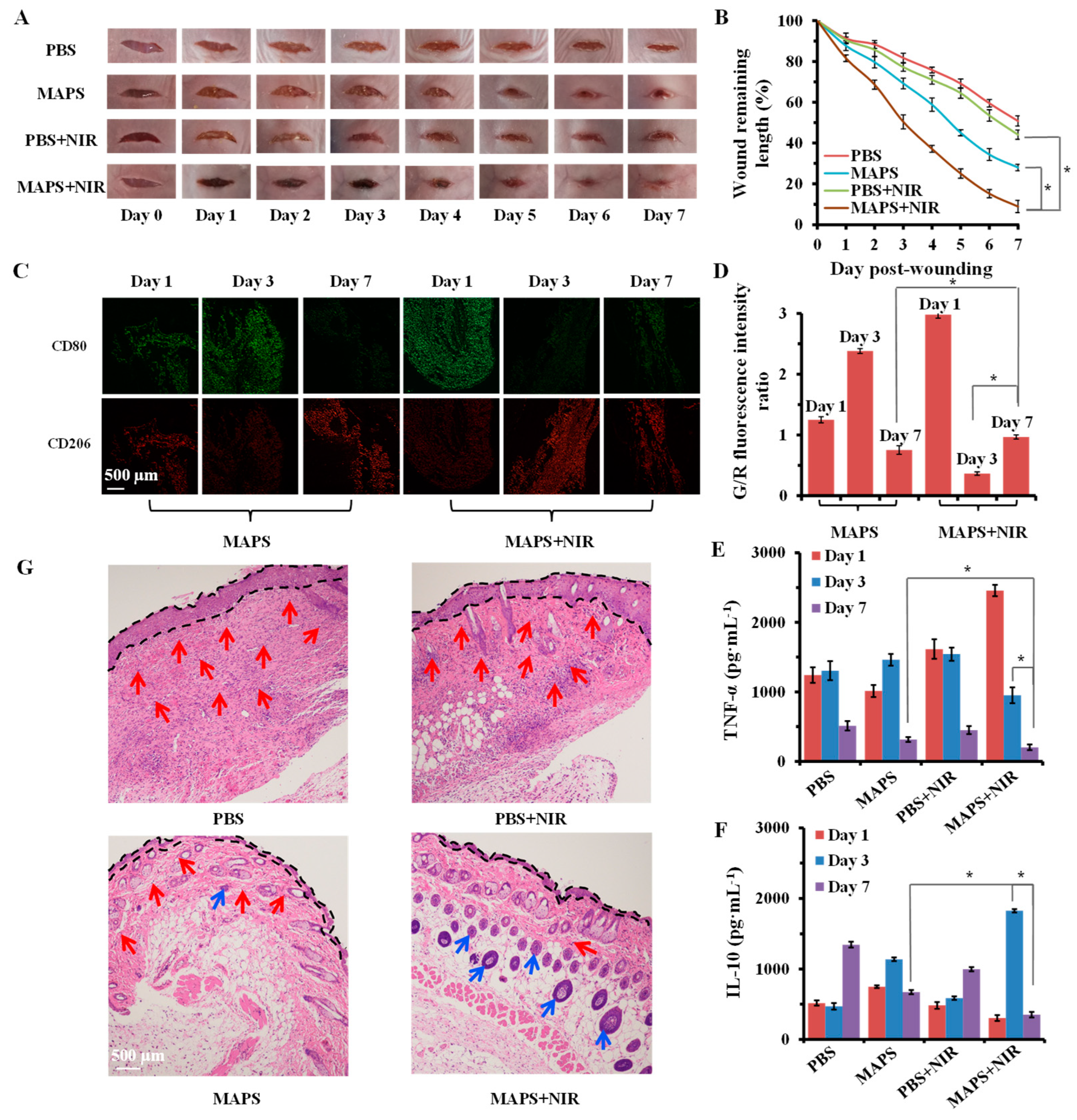 Materials 18 00963 g006