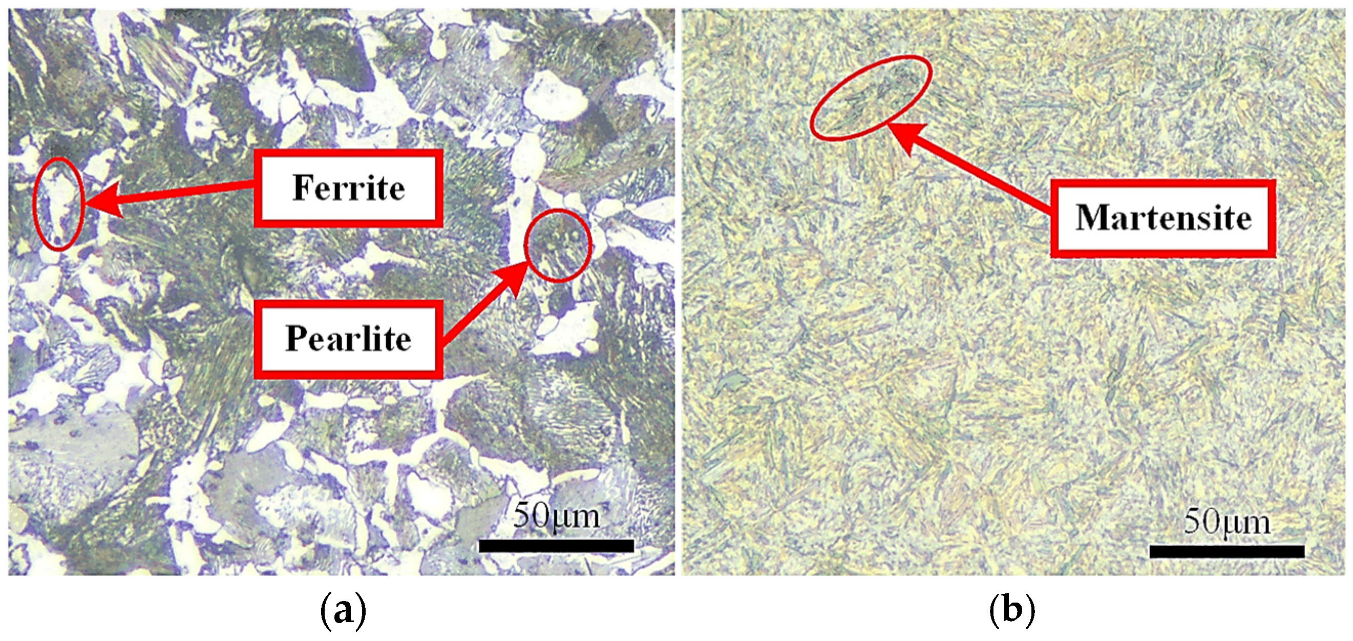 Materials 18 00975 g001