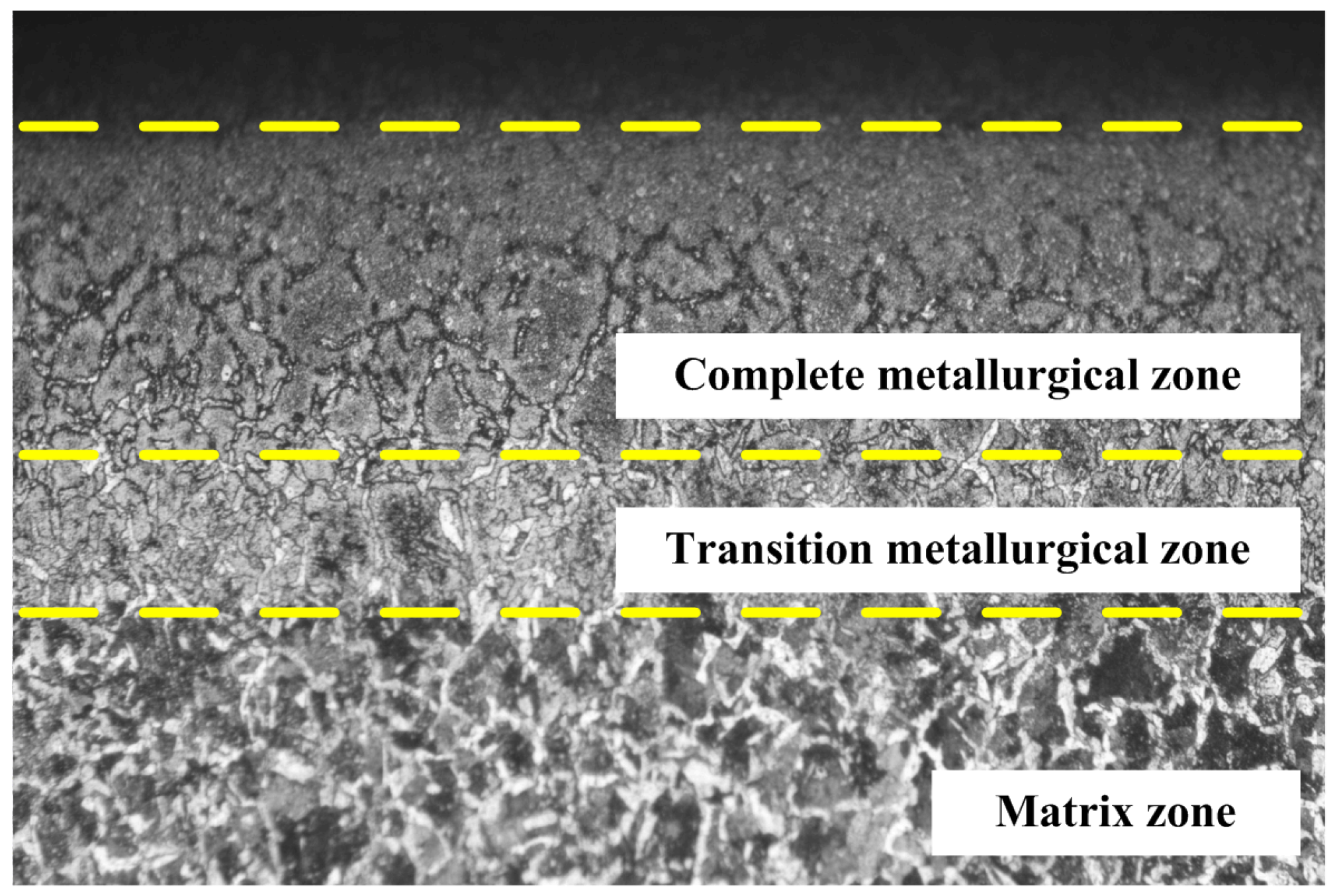 Materials 18 00975 g002