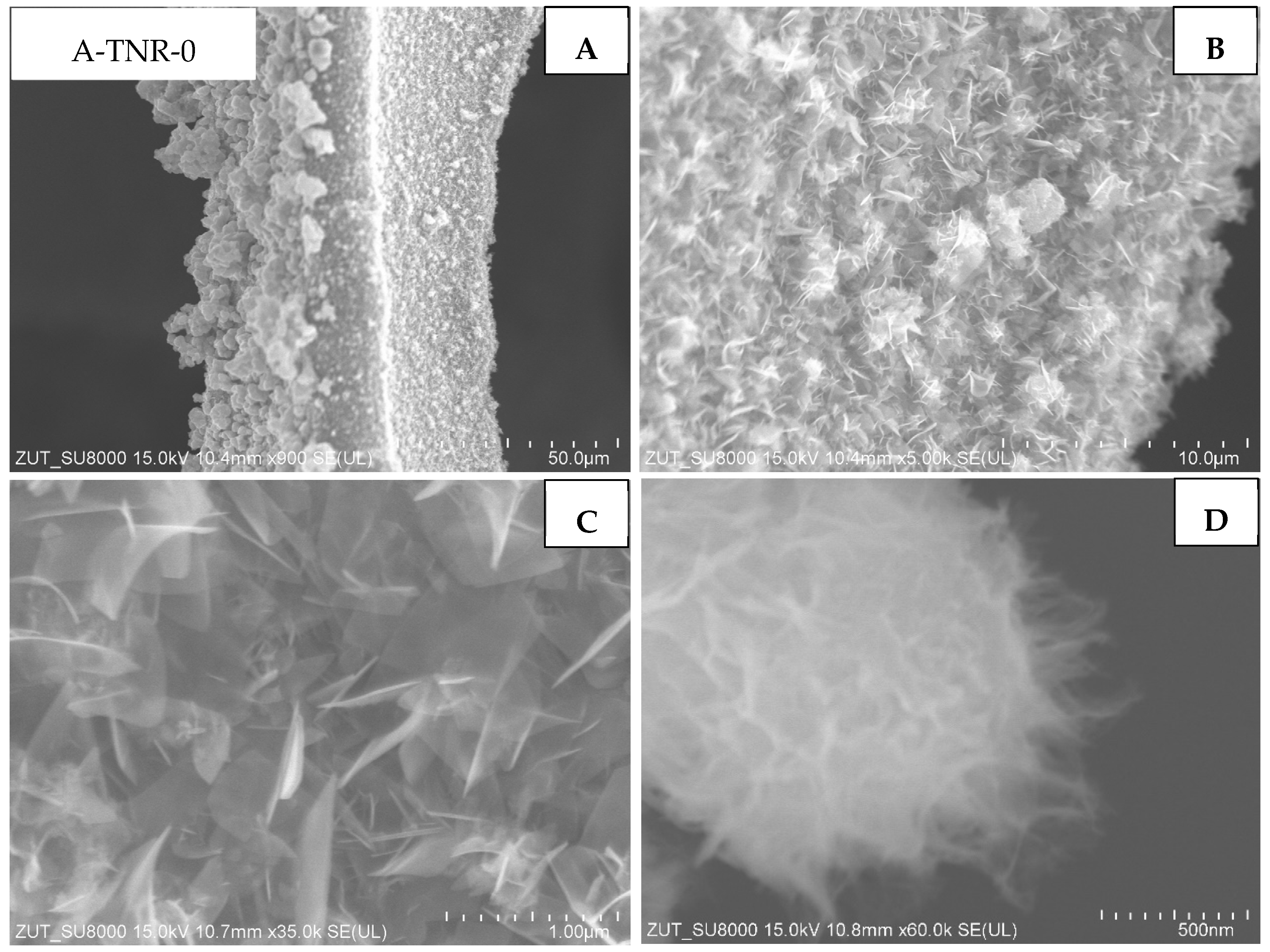 Materials 18 00986 g005