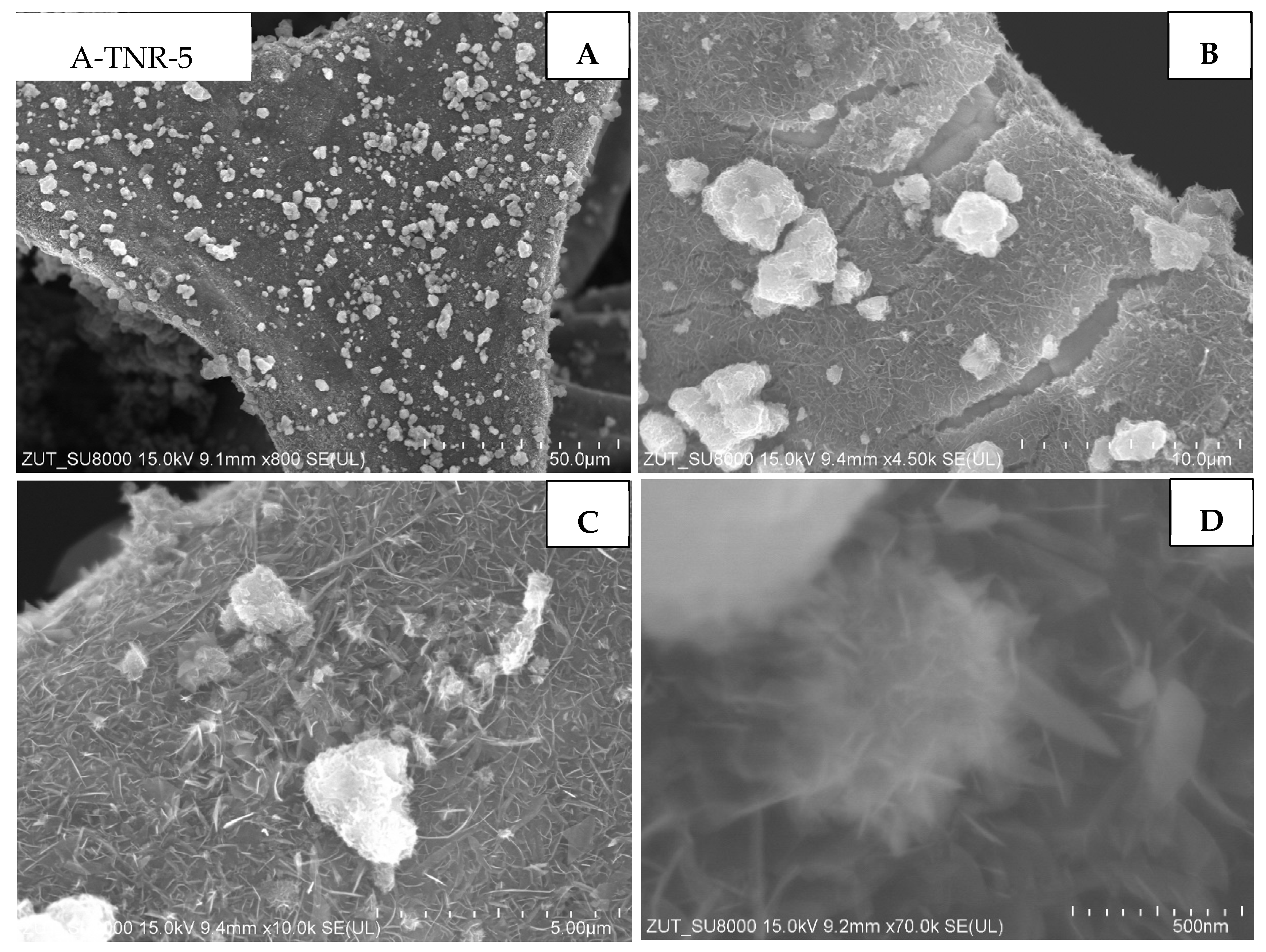 Materials 18 00986 g006