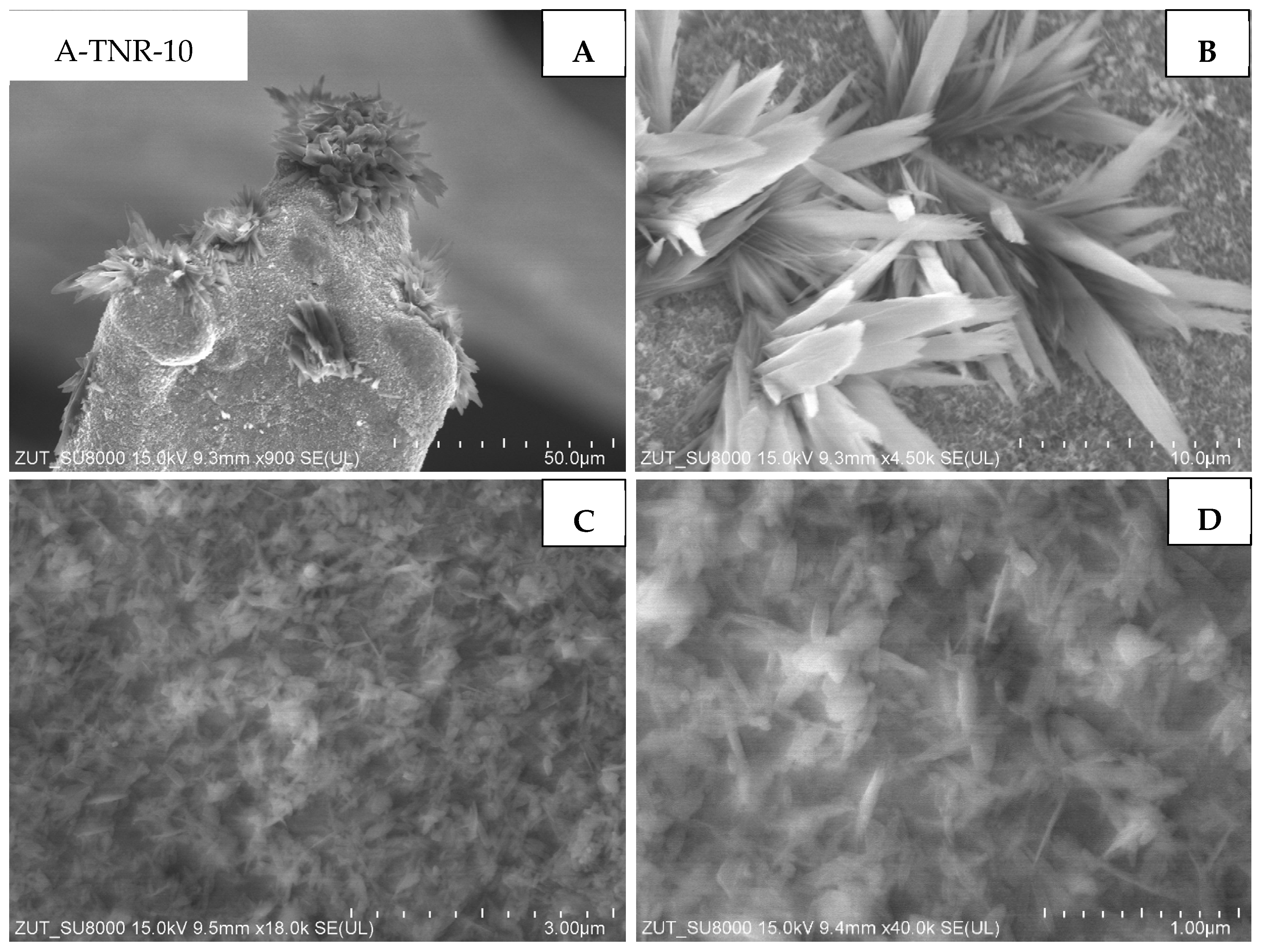 Materials 18 00986 g007