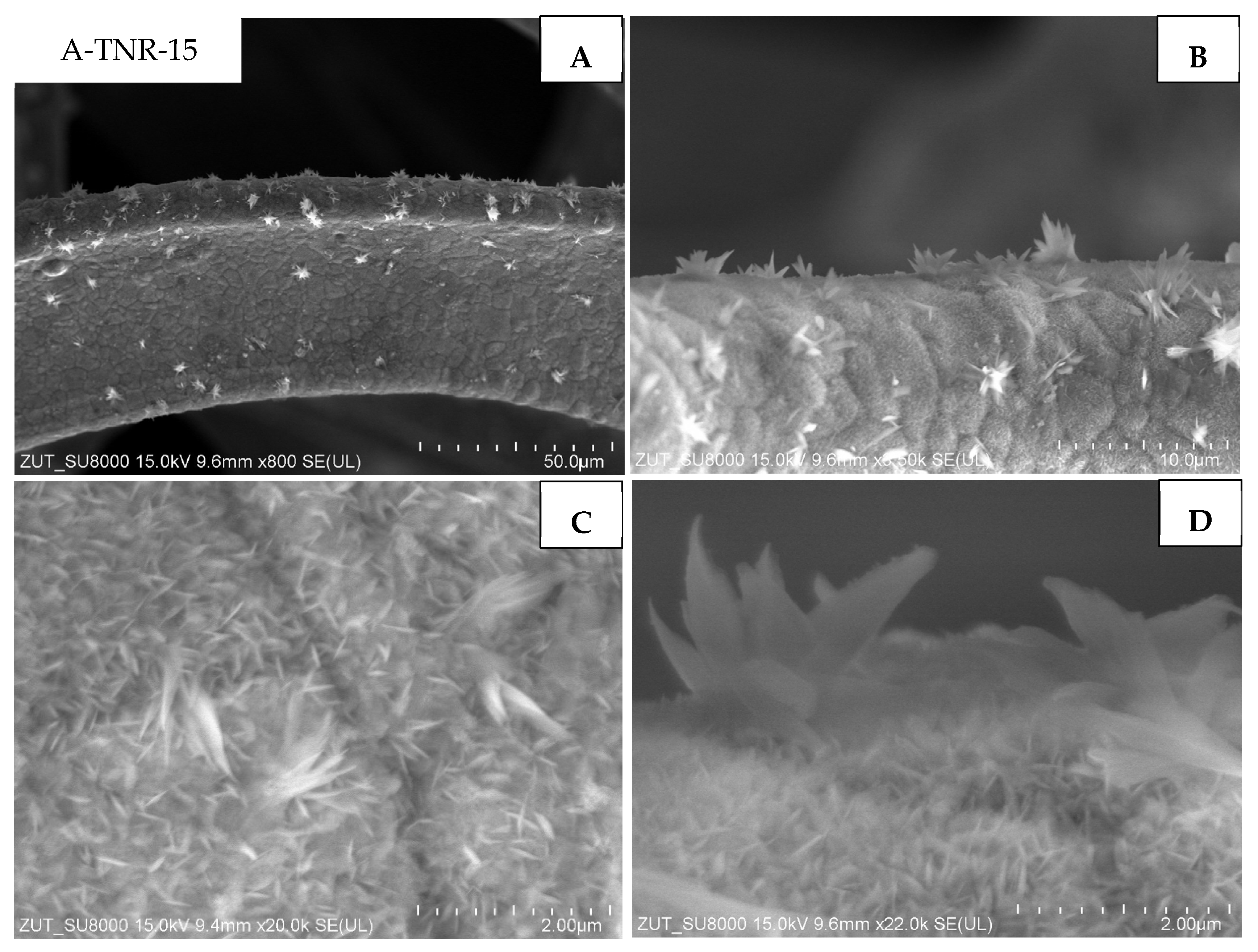 Materials 18 00986 g008