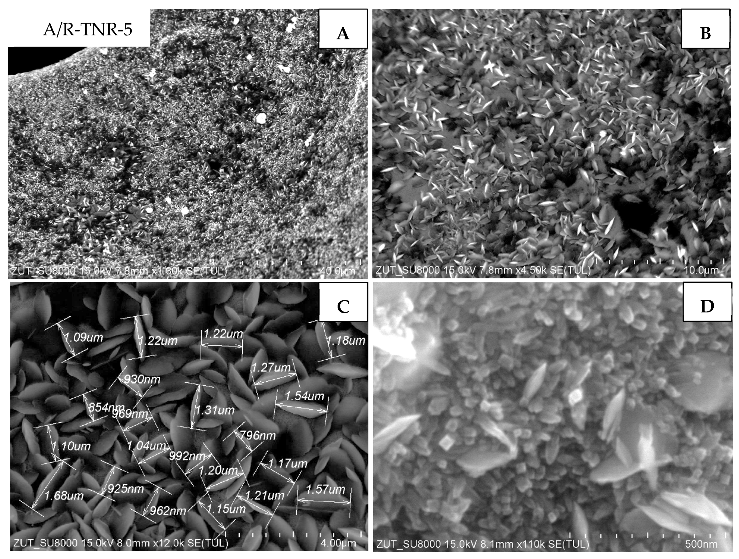 Materials 18 00986 g010