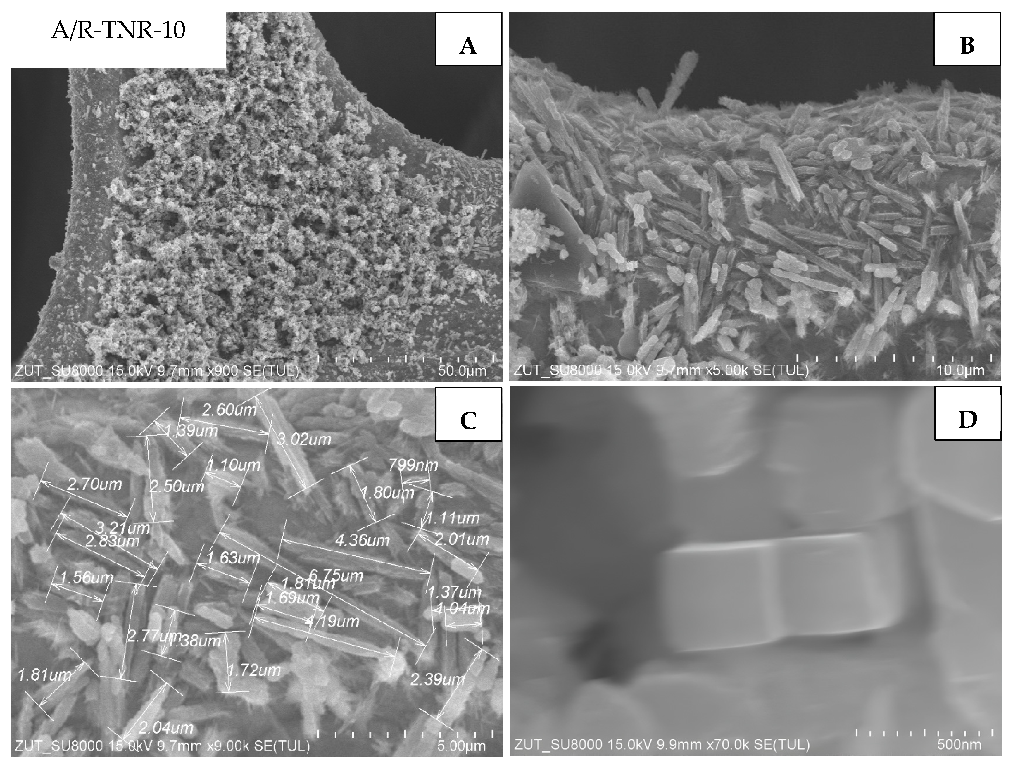 Materials 18 00986 g011