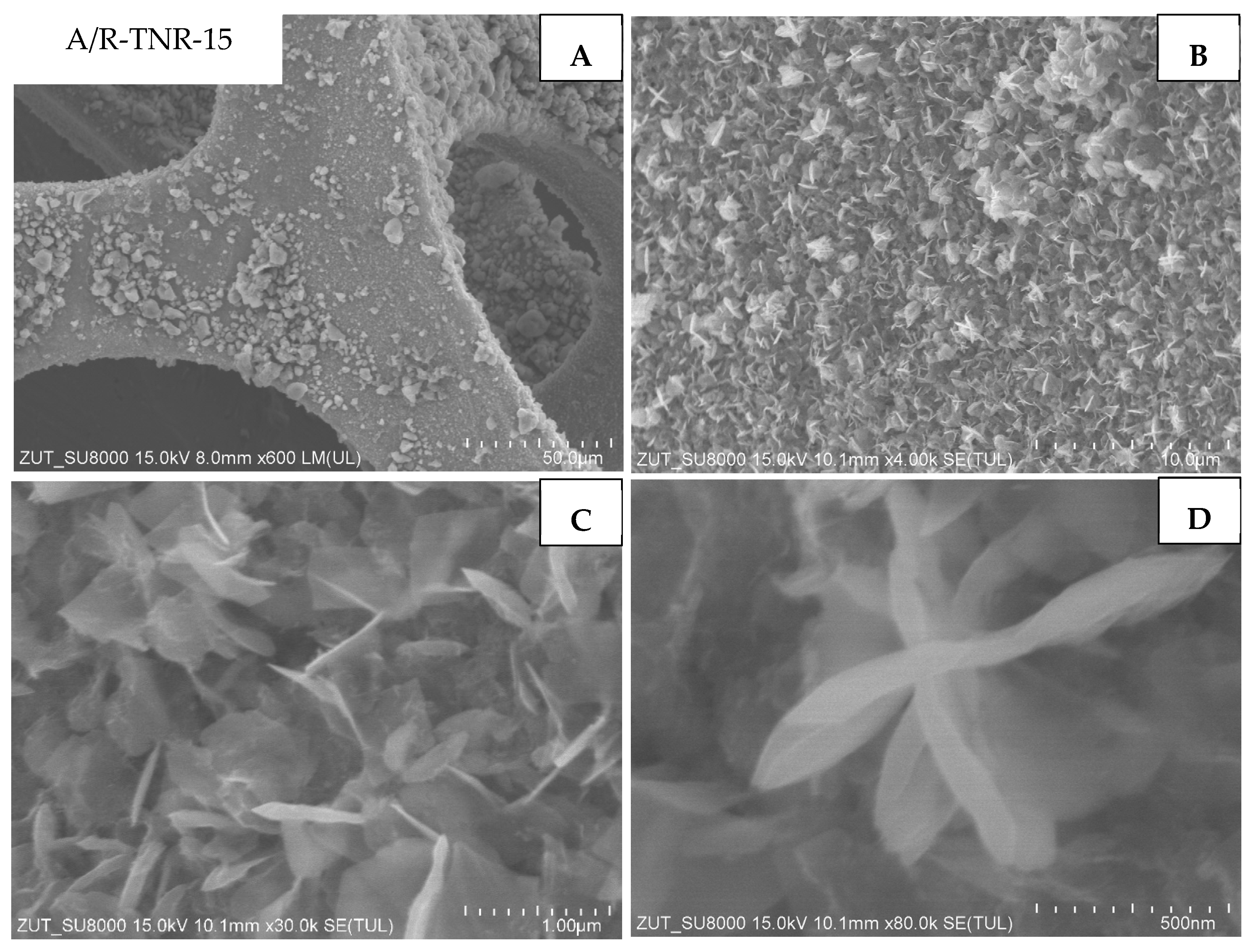 Materials 18 00986 g012