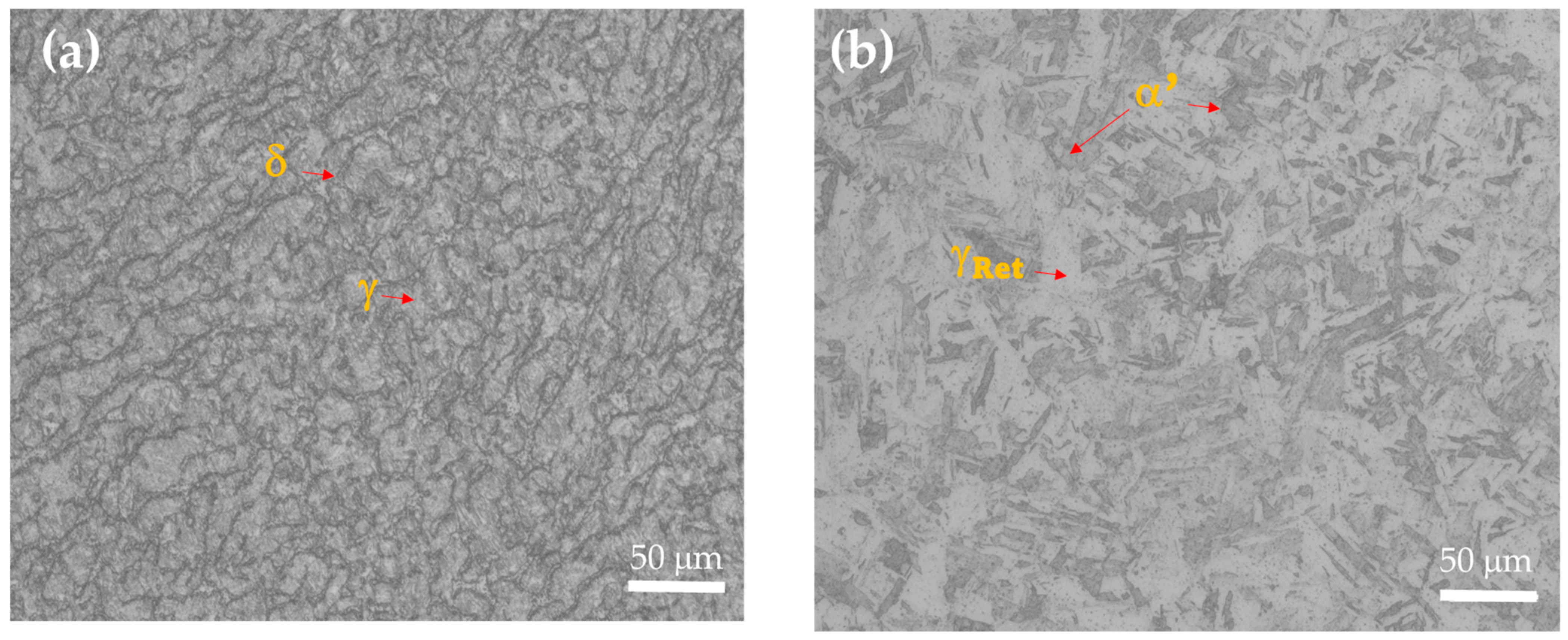 Materials 18 00988 g001