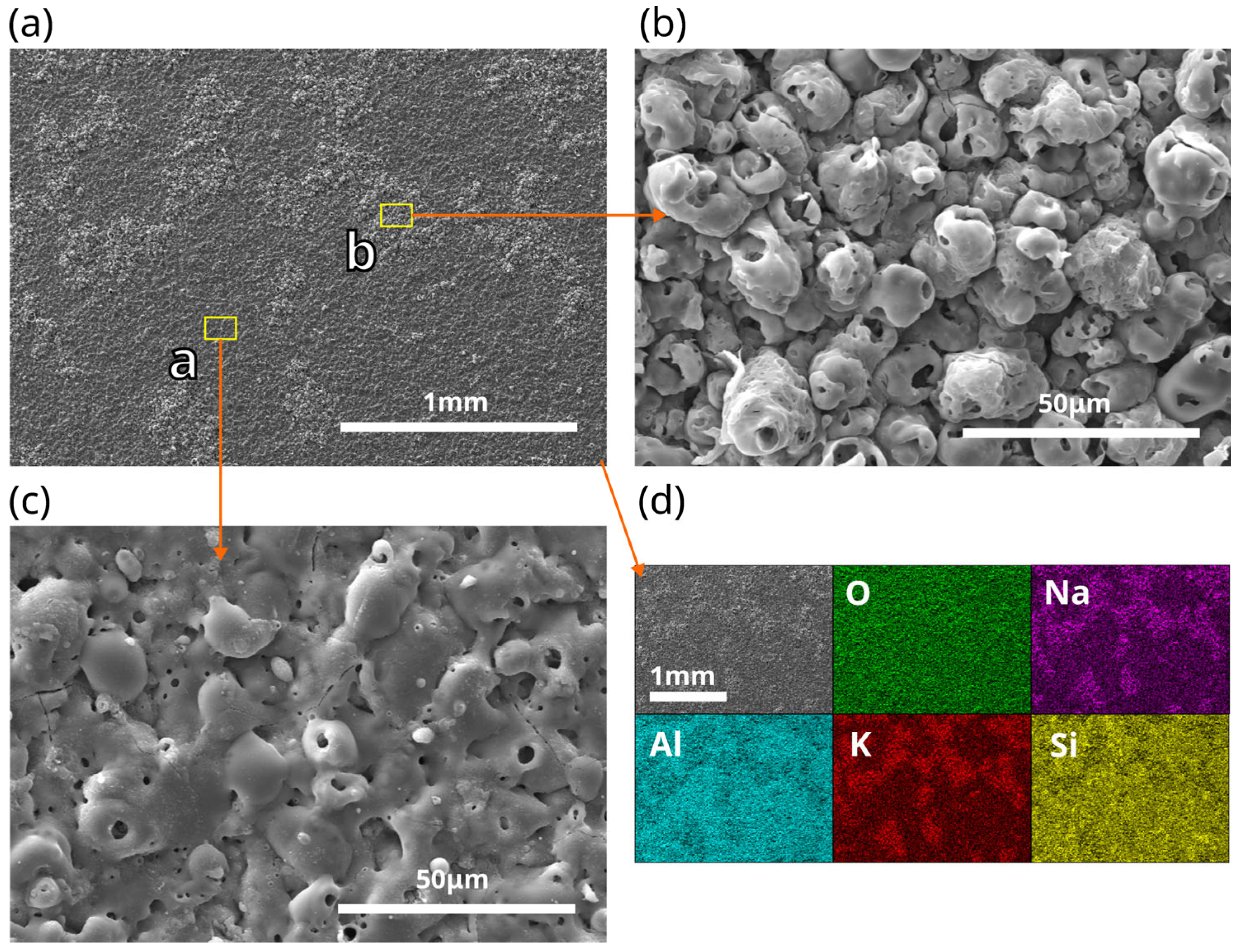 Materials 18 00989 g004