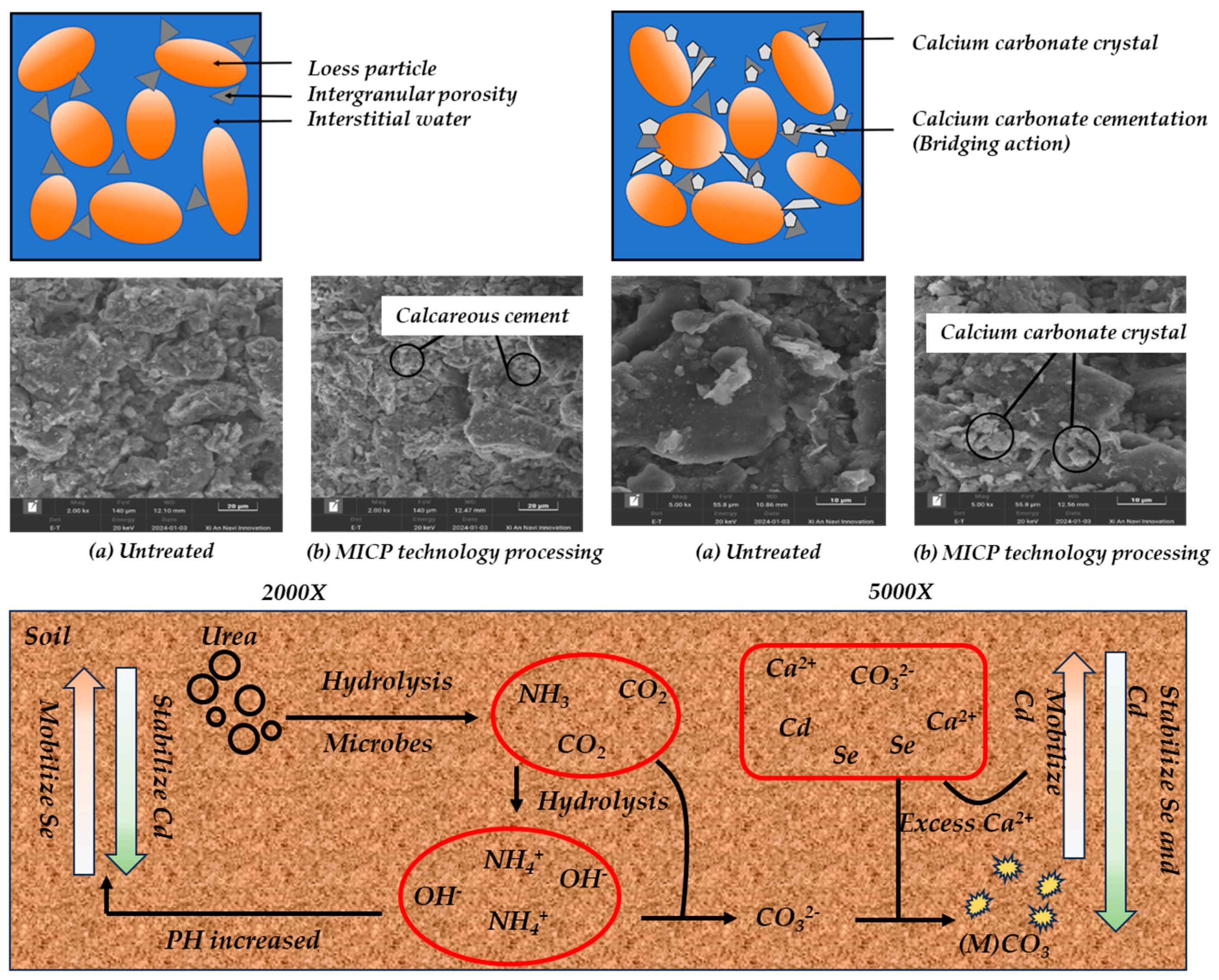 Materials 18 00992 g008