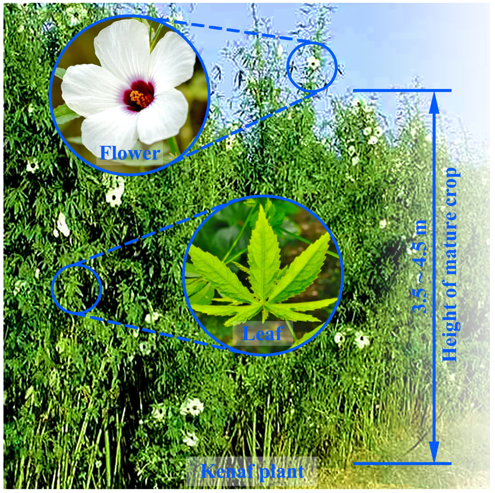 Materials 18 00999 g001