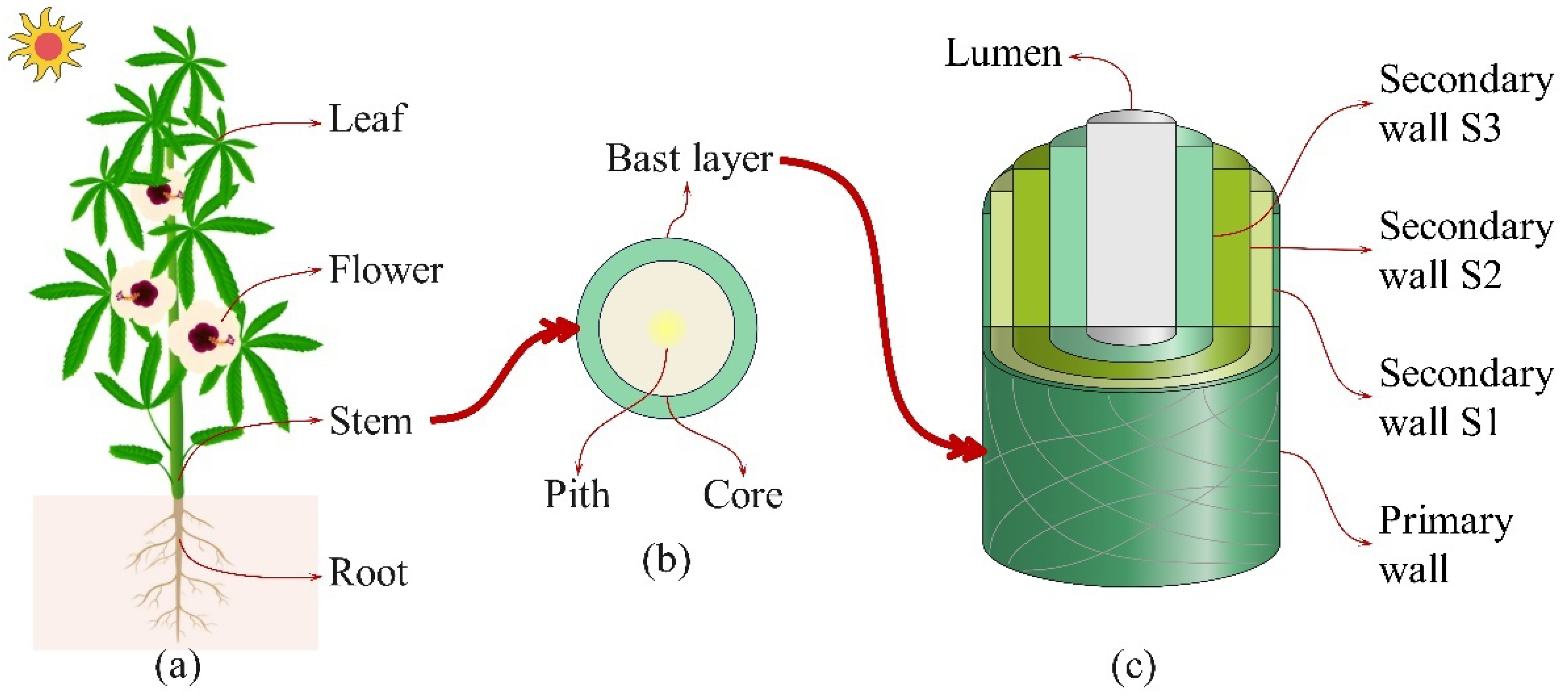 Materials 18 00999 g002