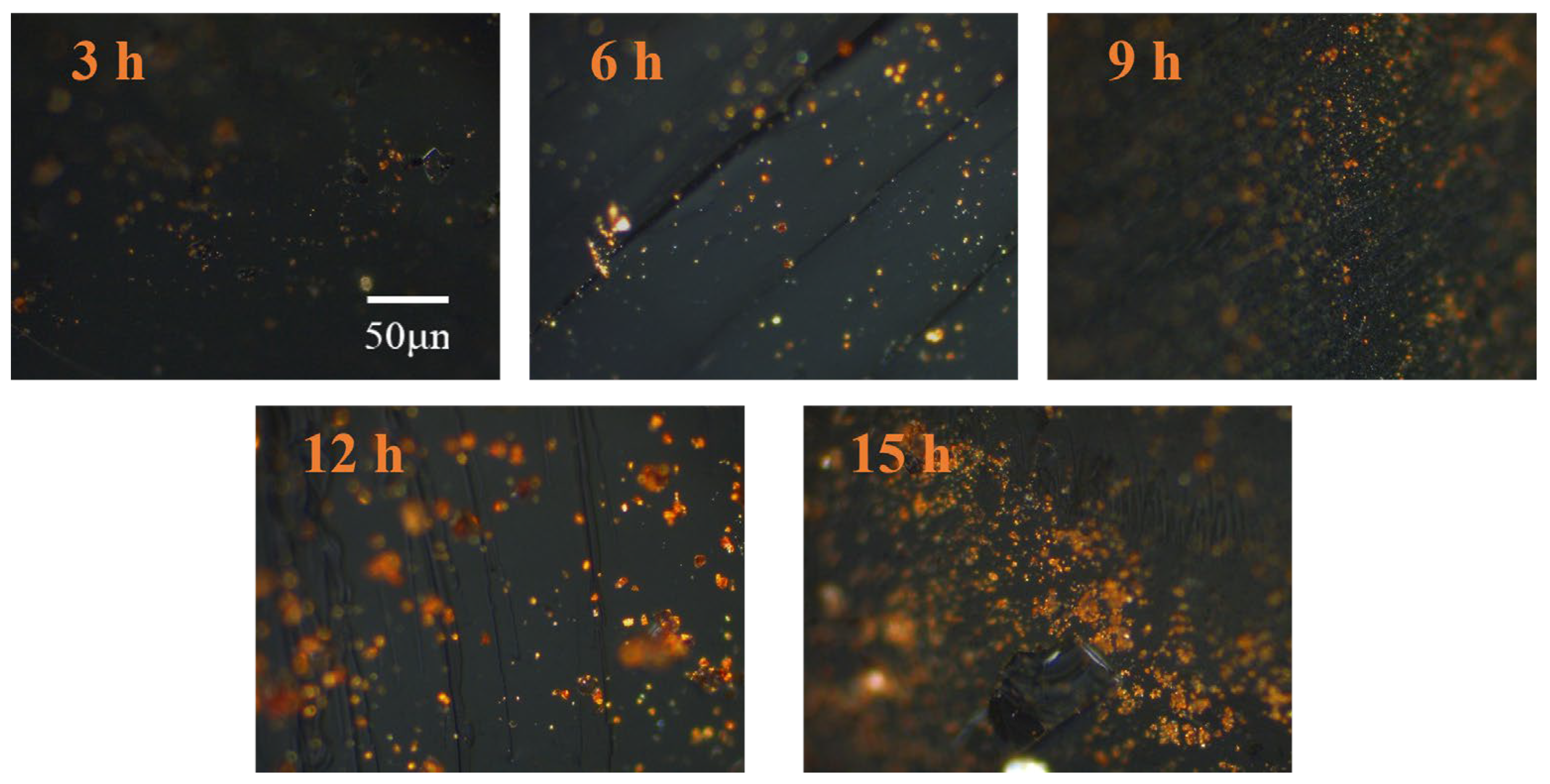 Materials 18 01002 g010