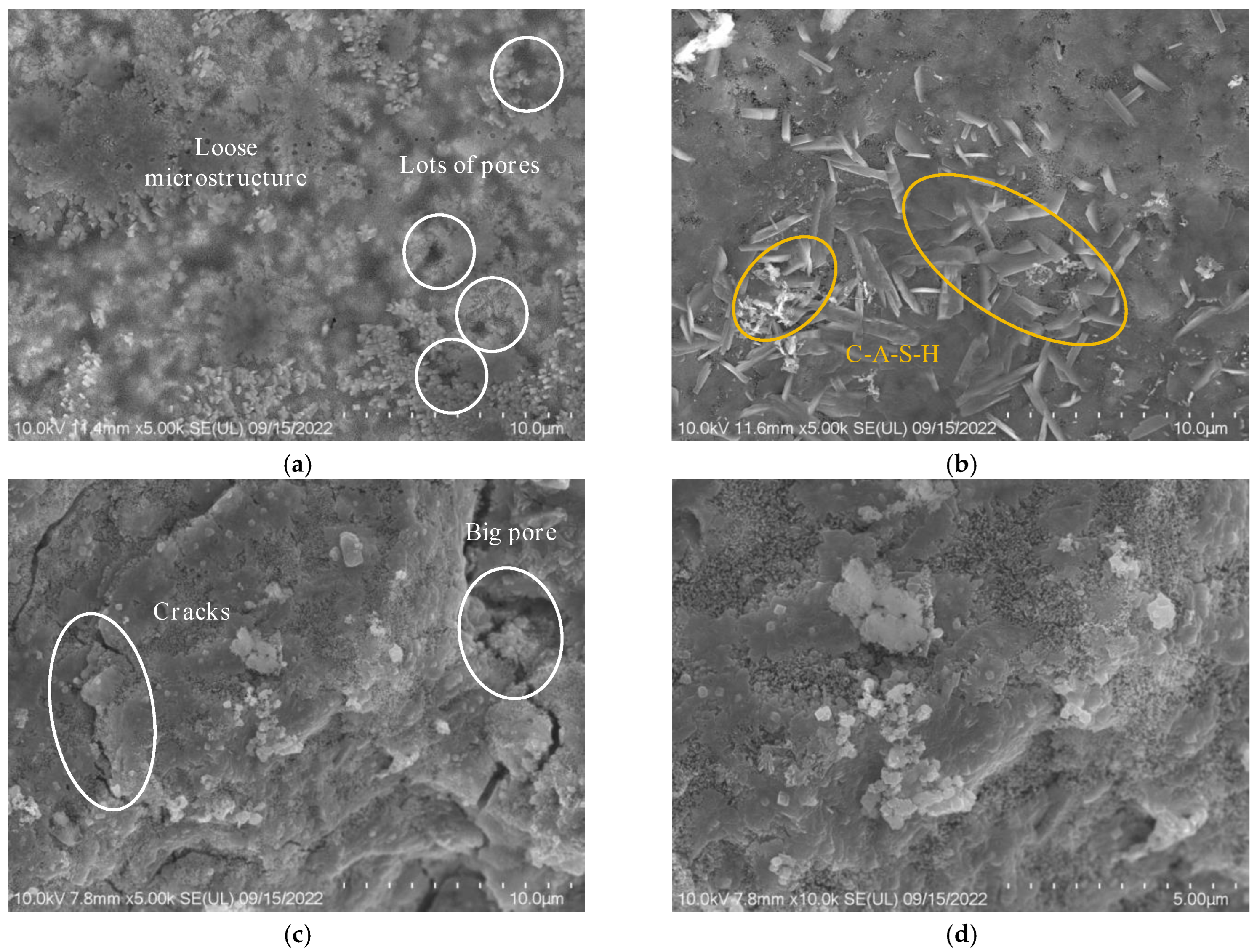 Materials 18 01005 g019