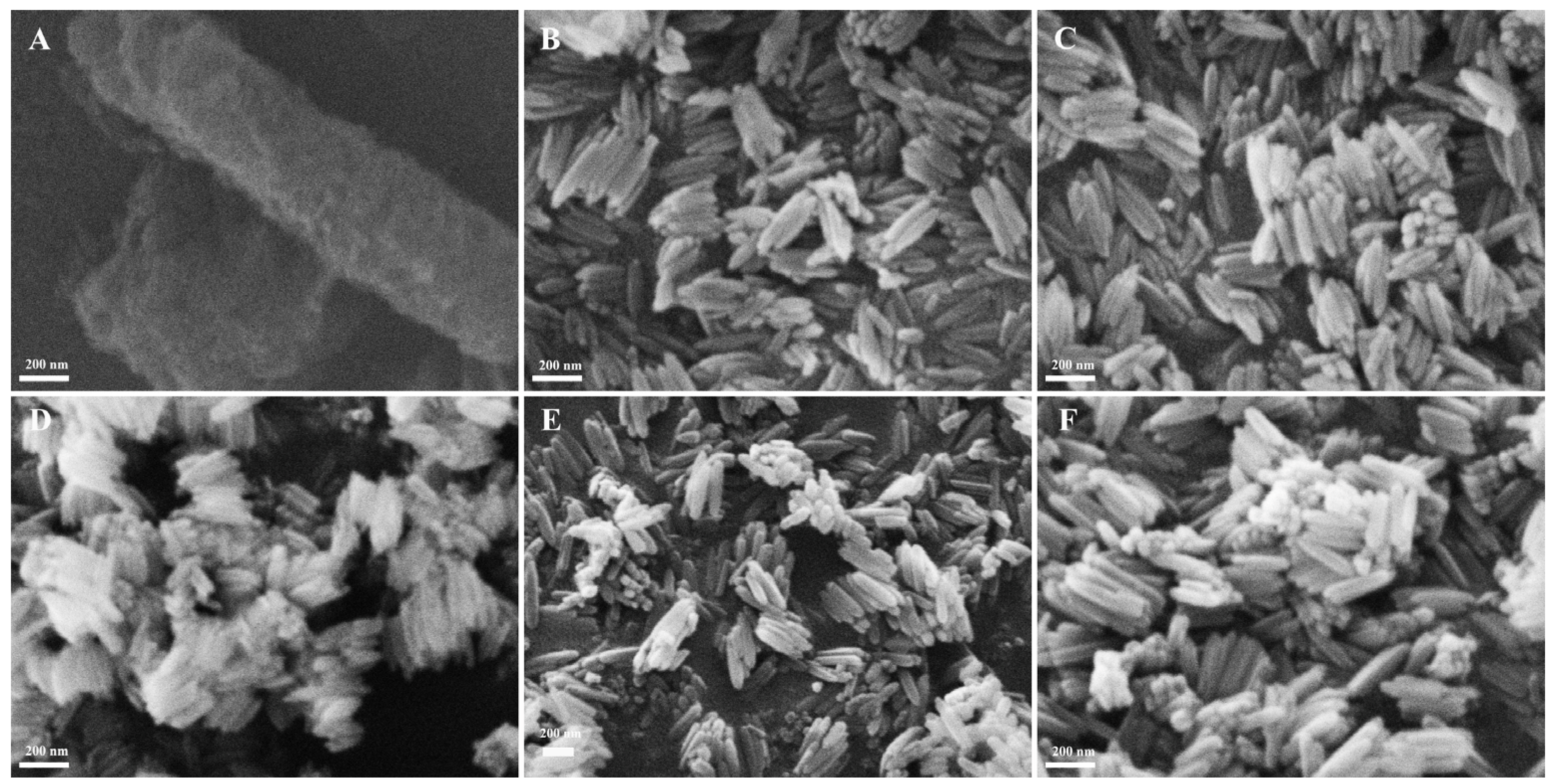 Materials 18 01014 g006