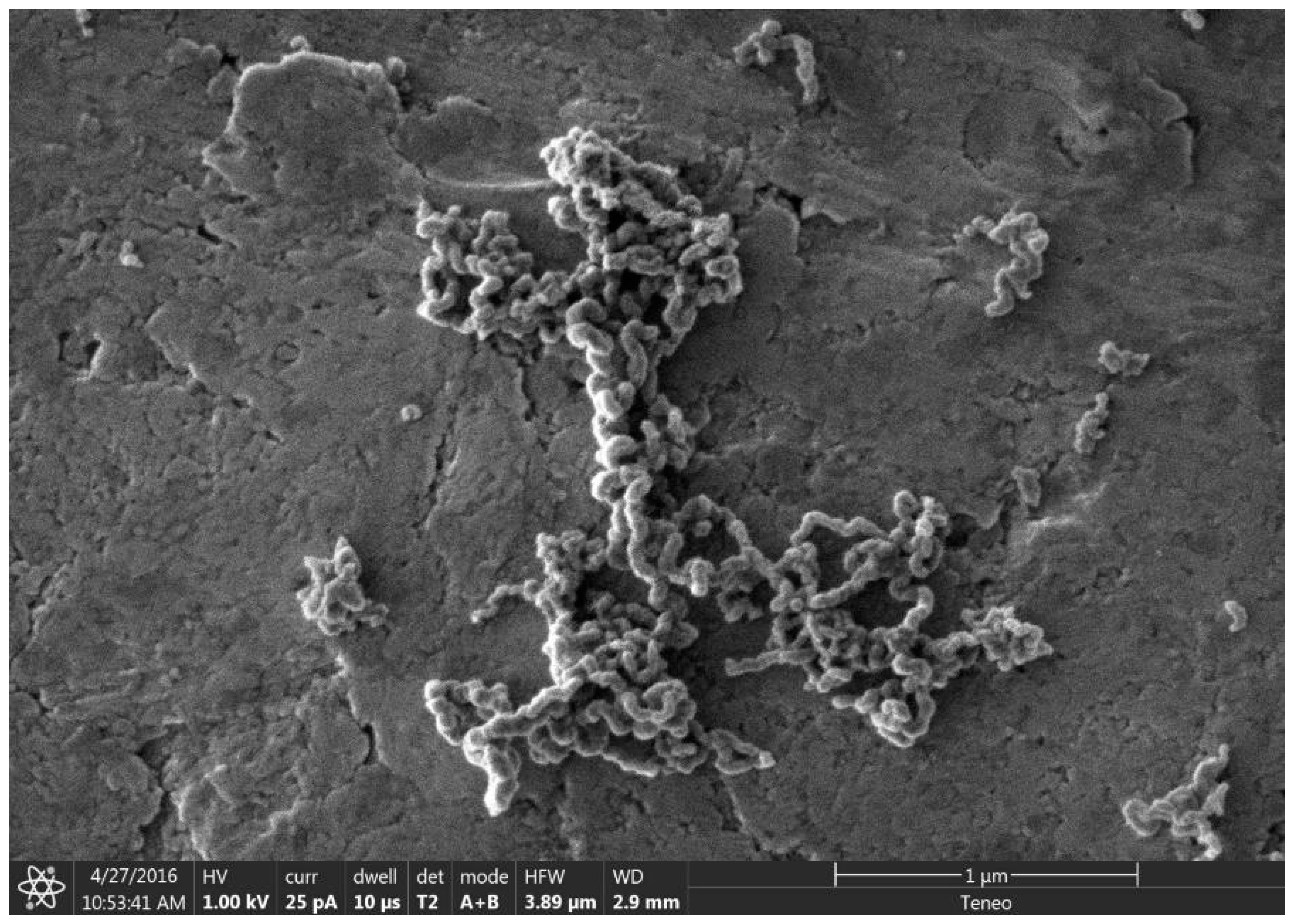 Materials 18 01022 g008