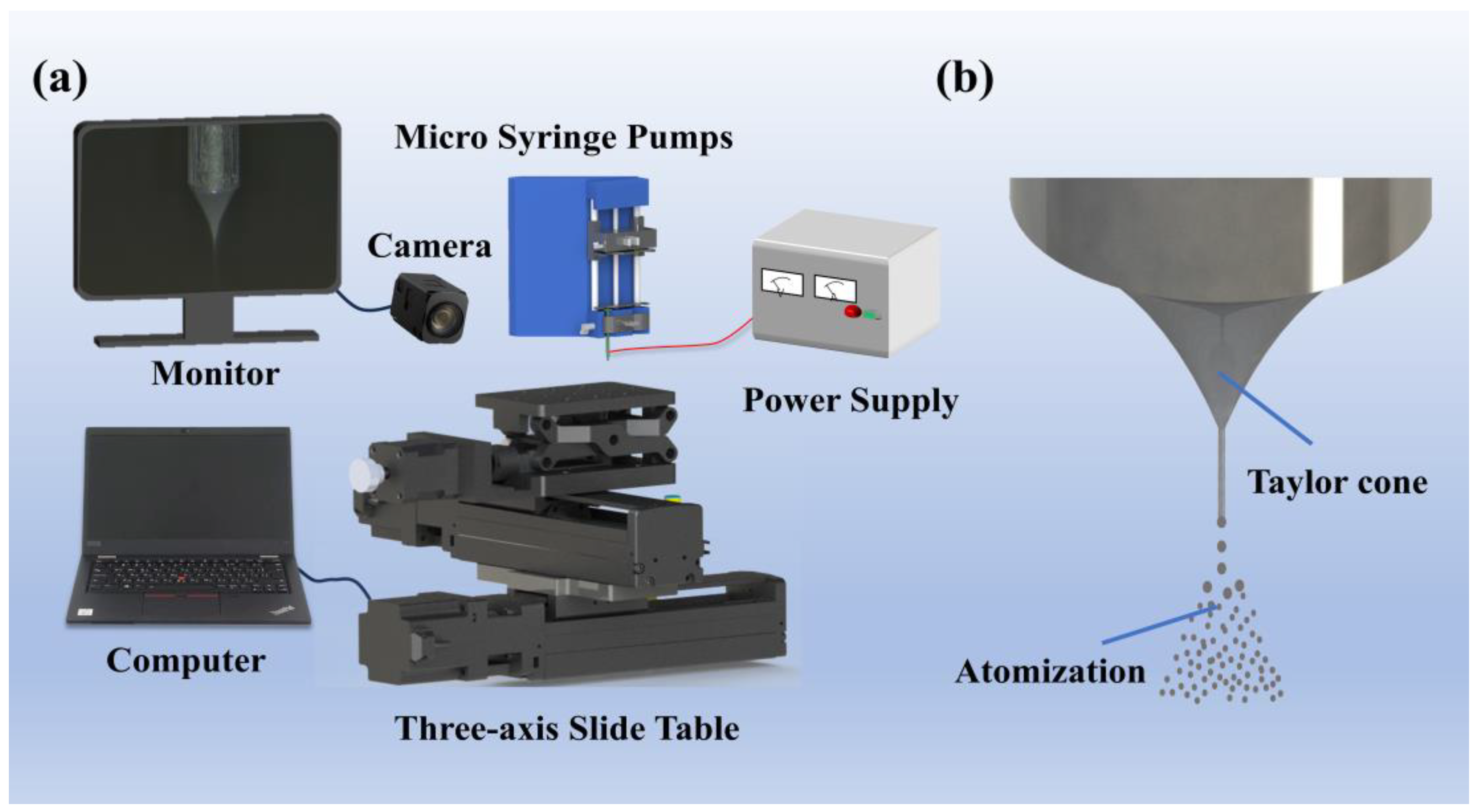 Materials 18 01031 g001