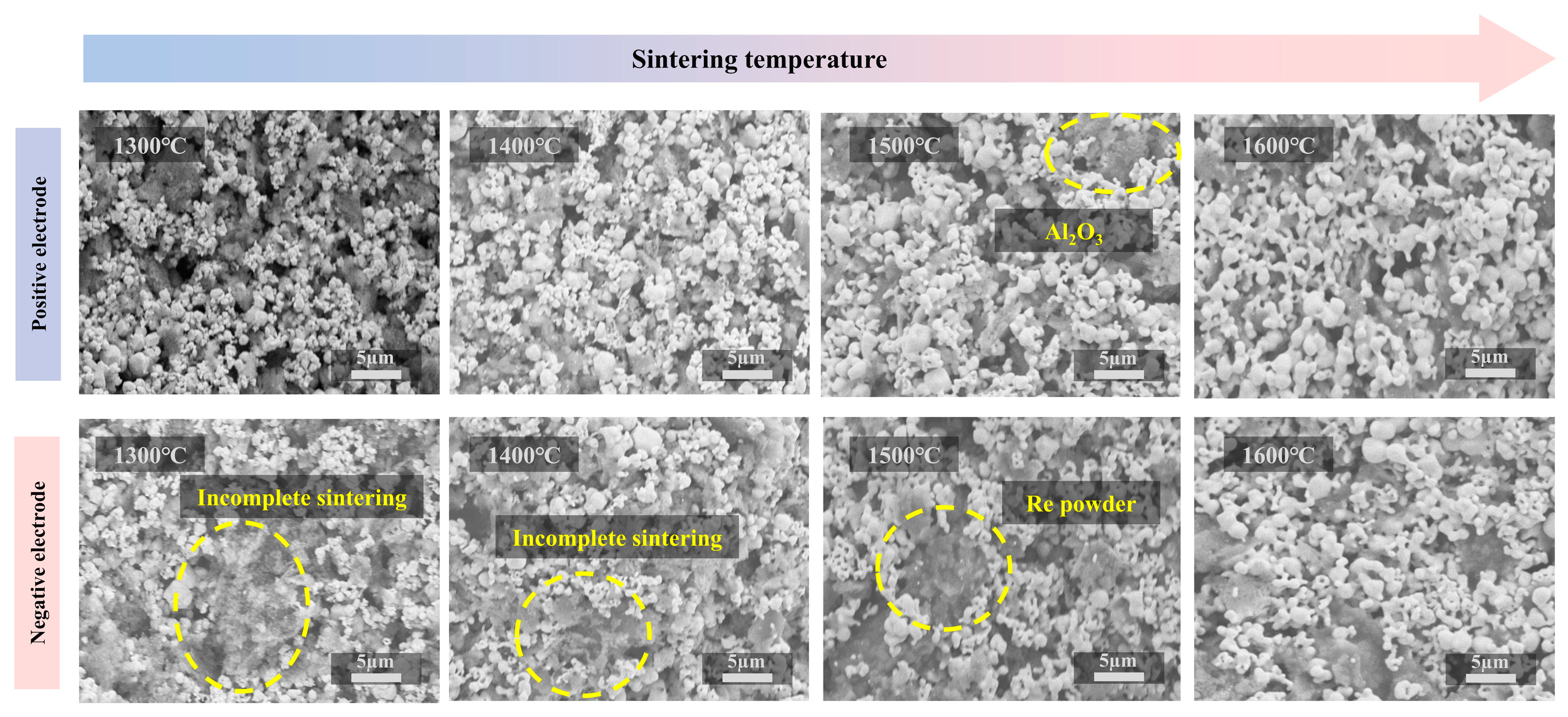 Materials 18 01031 g003