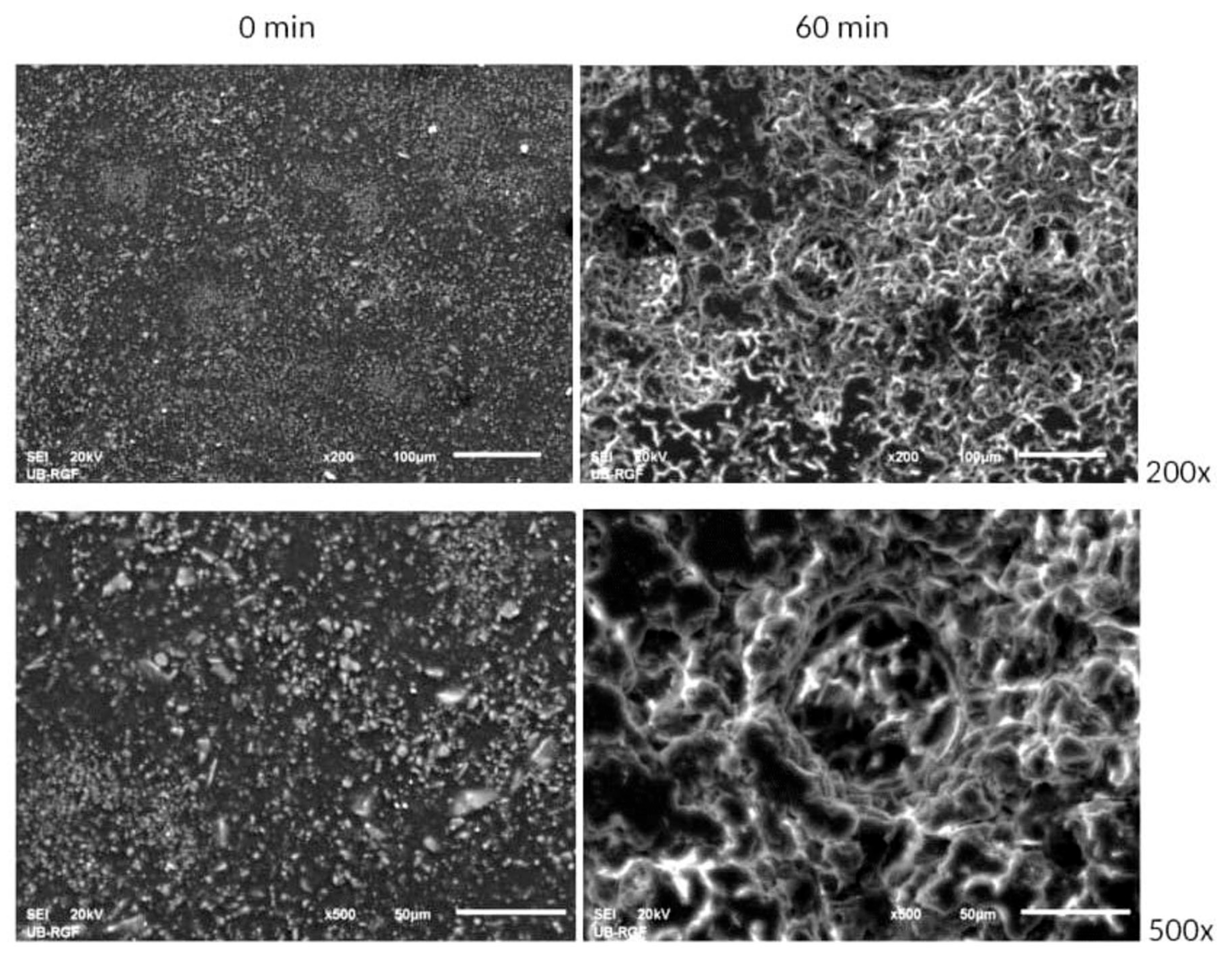 Materials 18 01034 g007 Materials 18 01034 g007