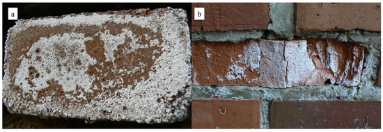 Materials 18 01041 g001