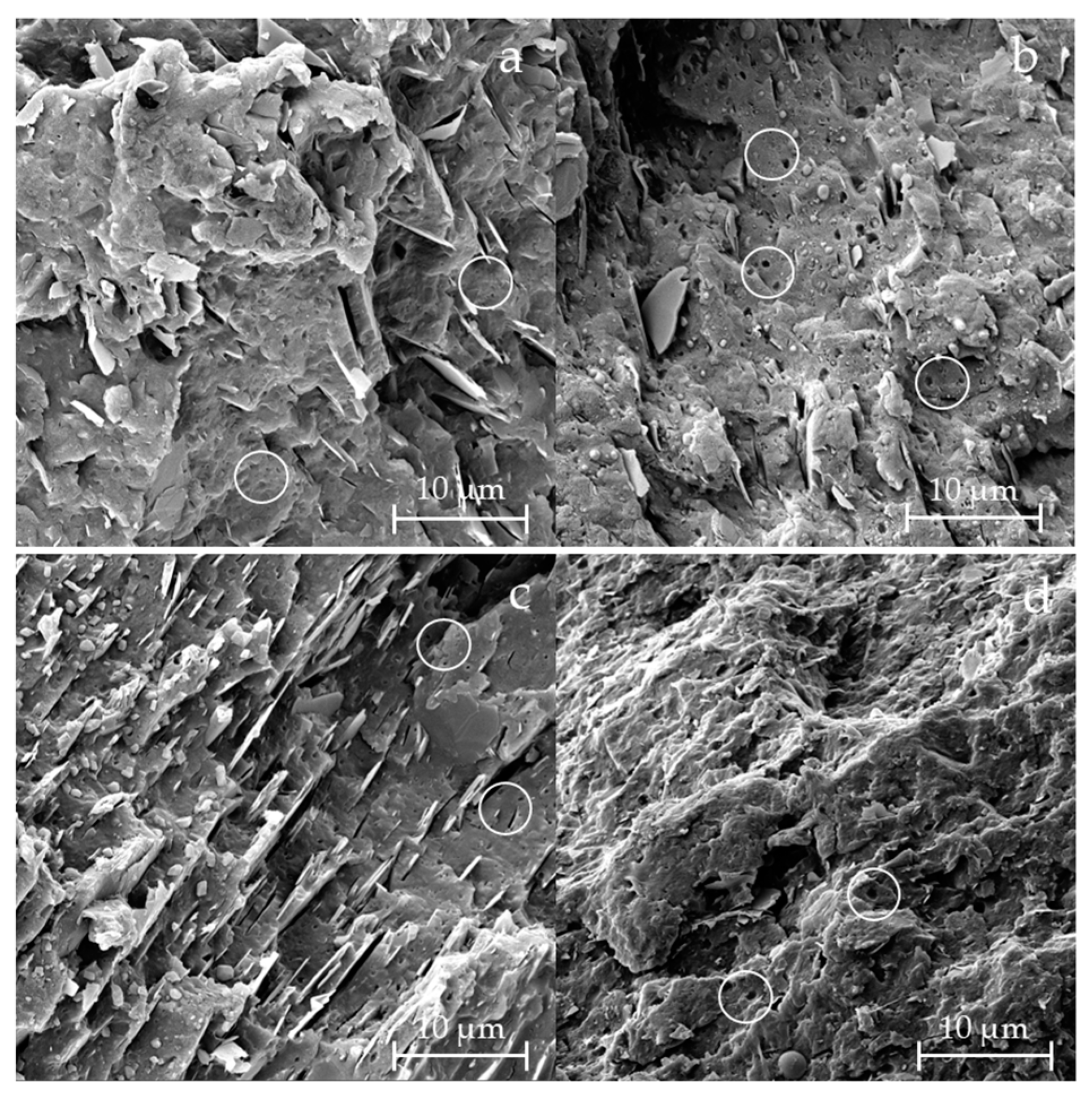 Materials 18 01090 g001 Materials 18 01090 g001
