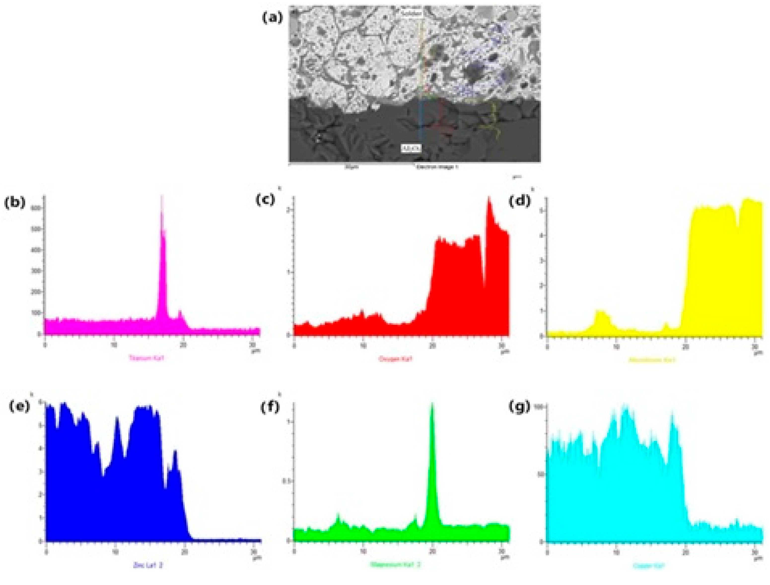 Materials 18 01094 g013