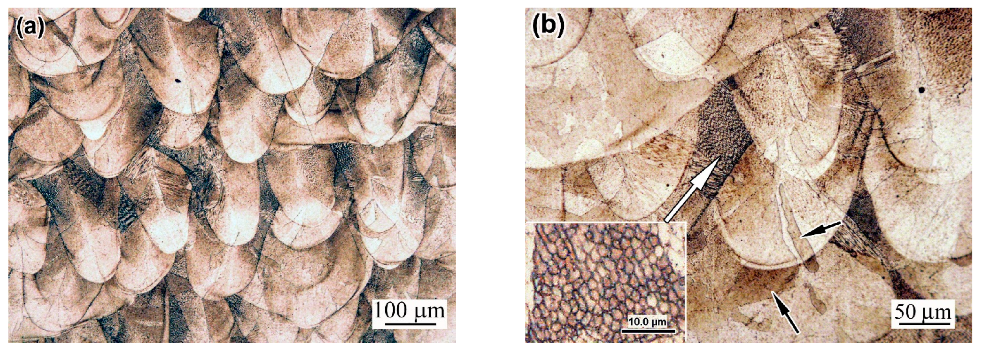 Materials 18 01102 g007a