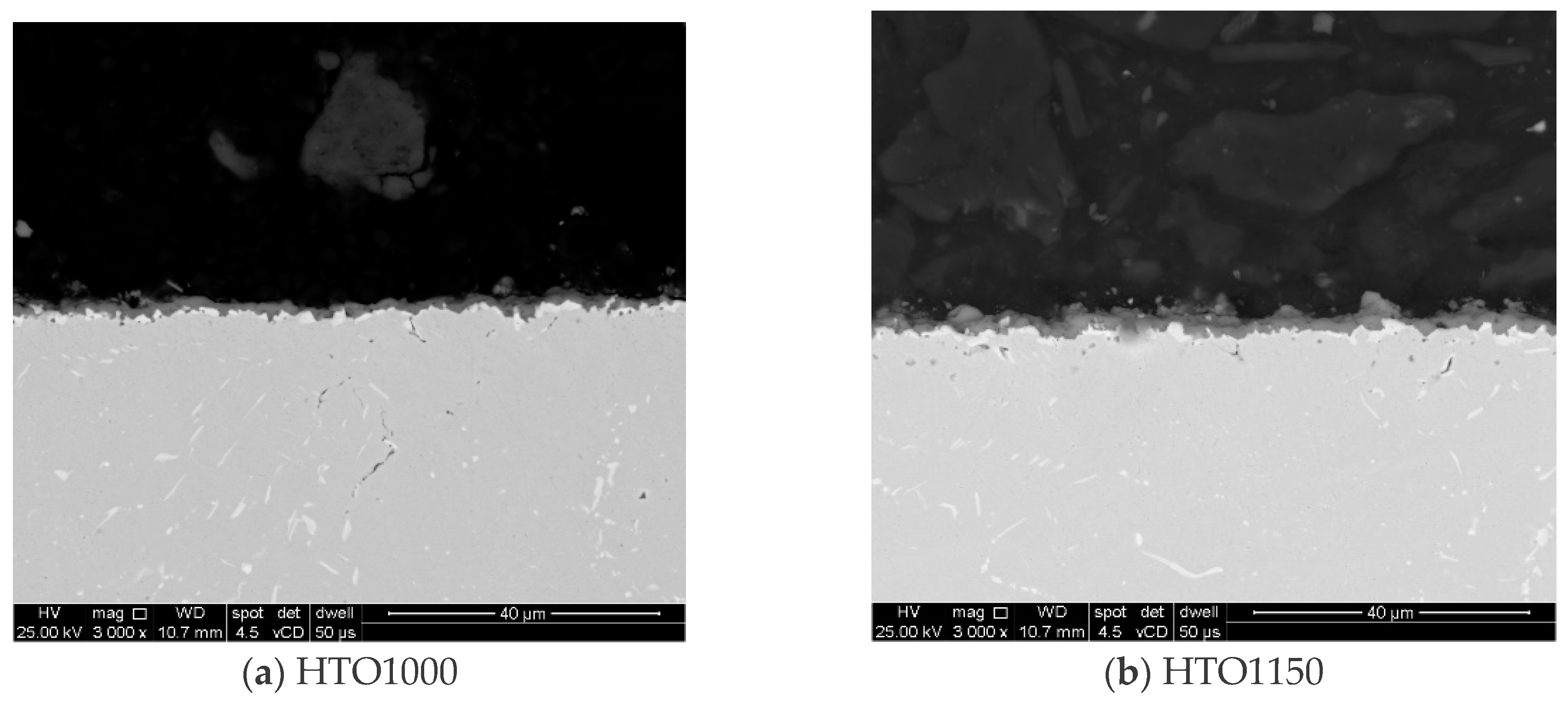 Materials 18 01111 g003 Materials 18 01111 g003