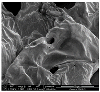 Materials 18 01114 i002