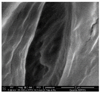 Materials 18 01114 i006