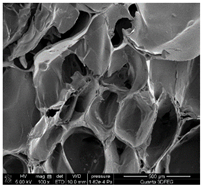 Materials 18 01114 i007