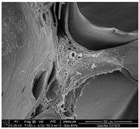 Materials 18 01114 i008