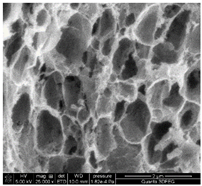 Materials 18 01114 i009