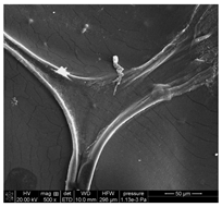 Materials 18 01114 i011