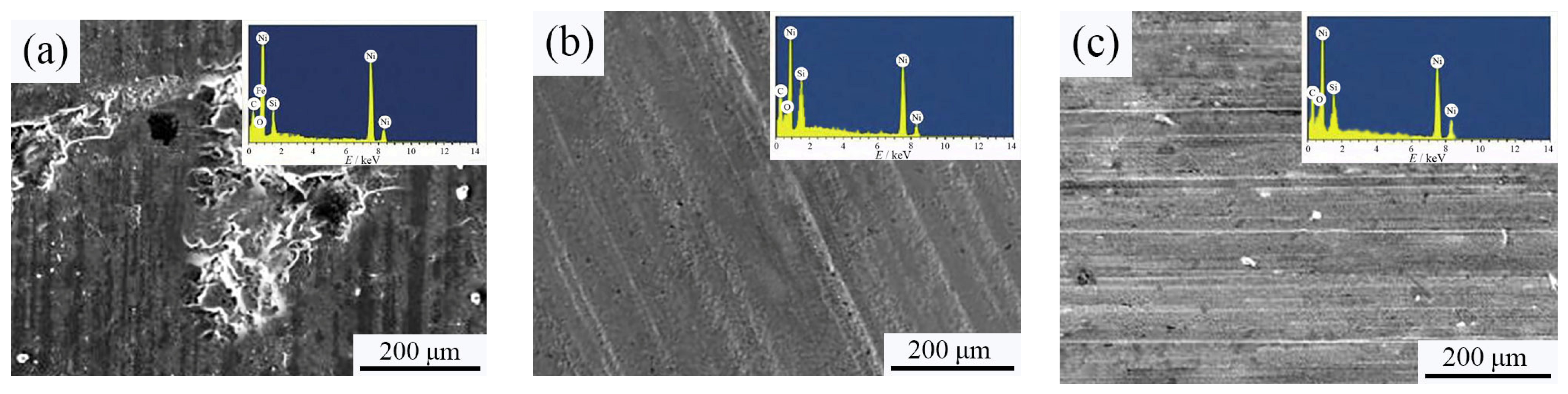 Materials 18 01117 g010 Materials 18 01117 g010