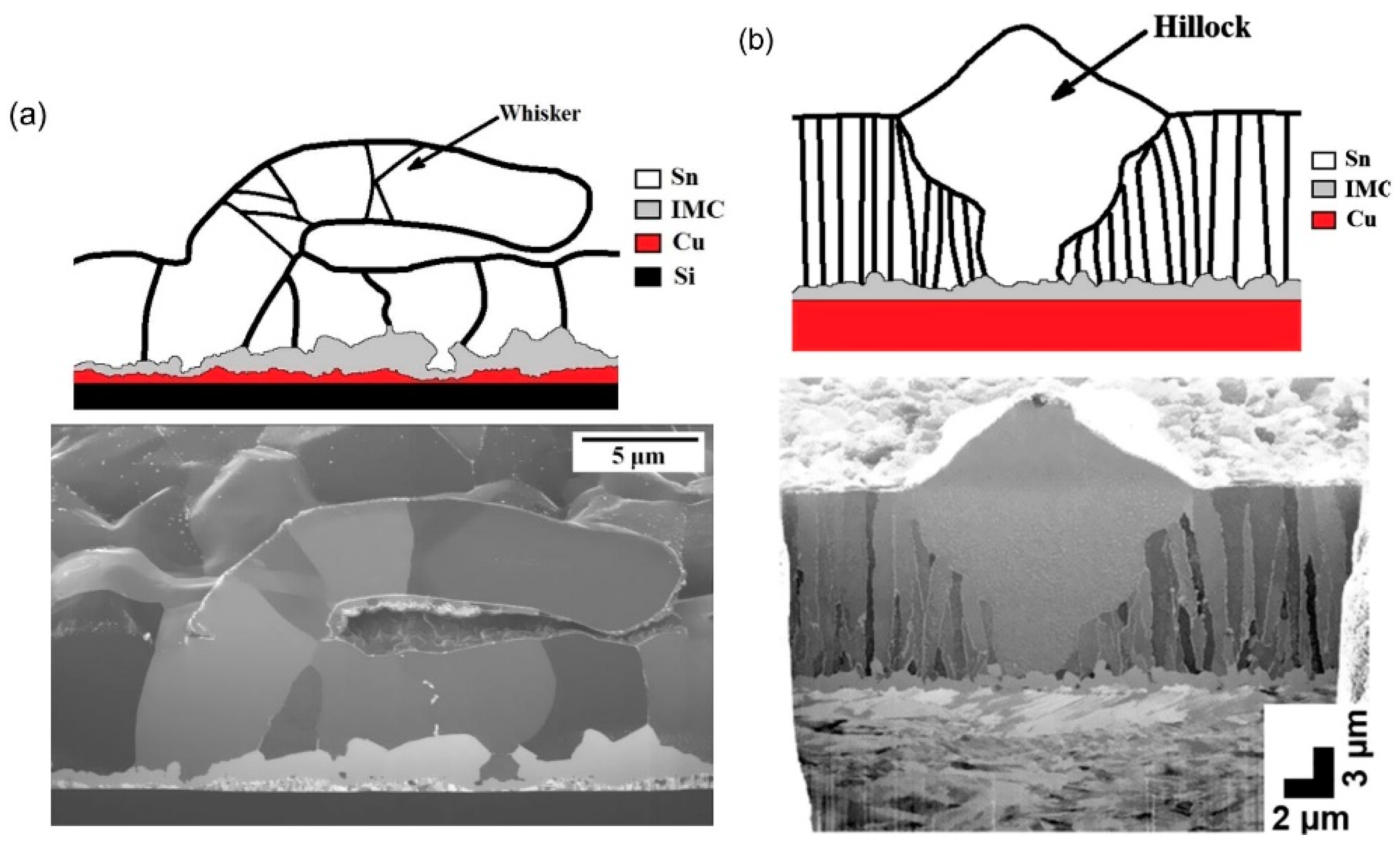 Materials 18 01130 g003