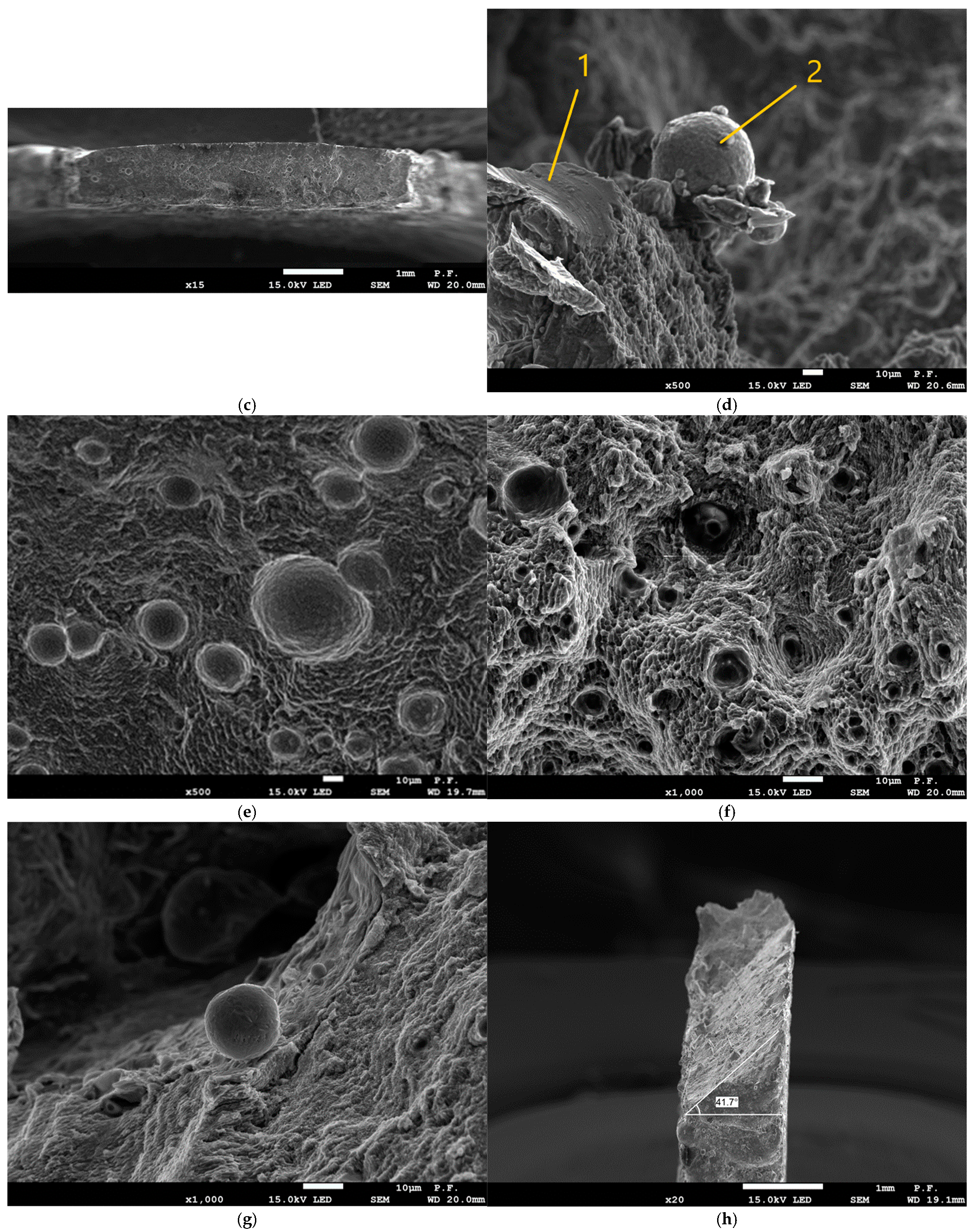 Materials 18 01134 g018b