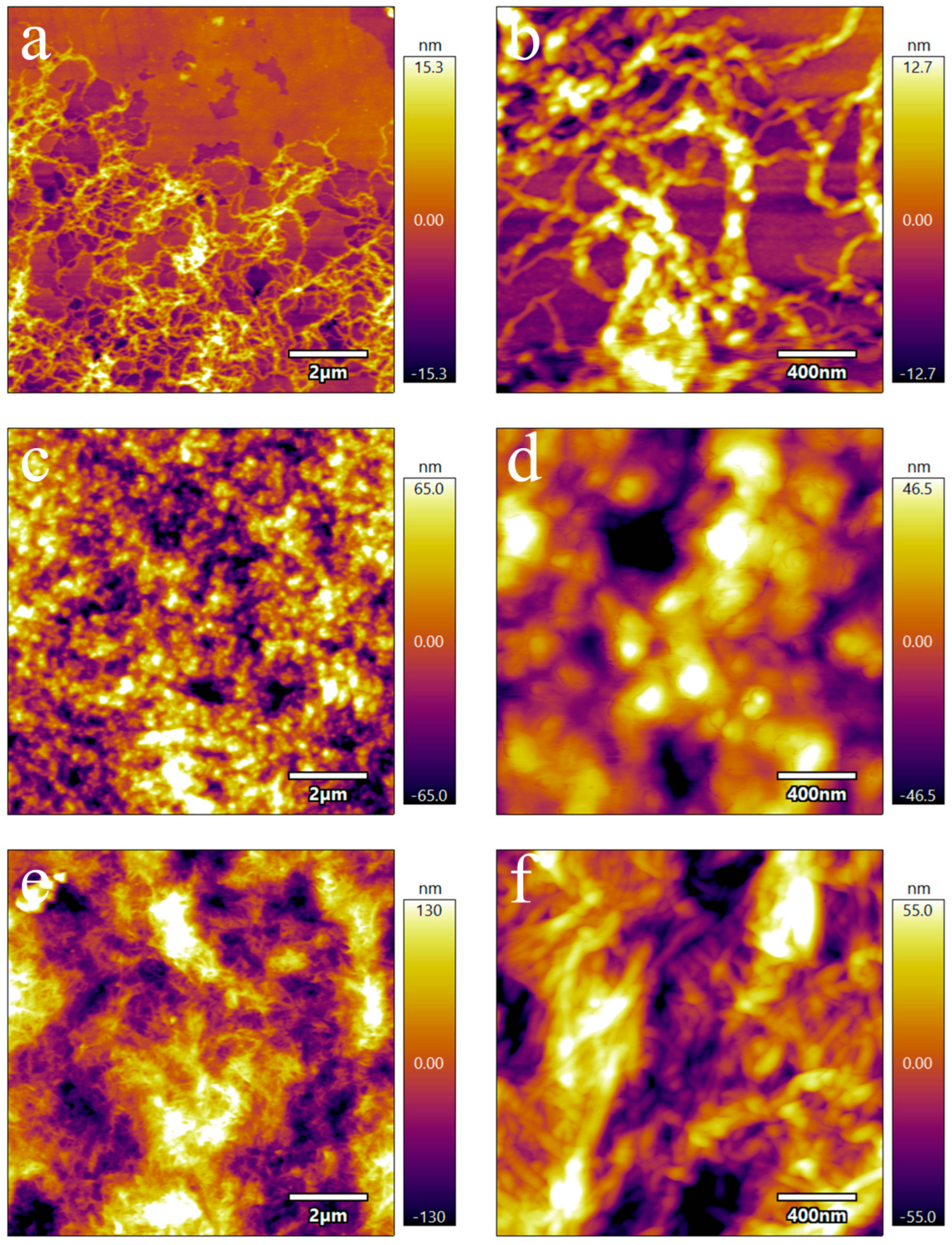 Materials 18 01142 g005